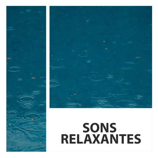 Релиз Sons Relaxantes