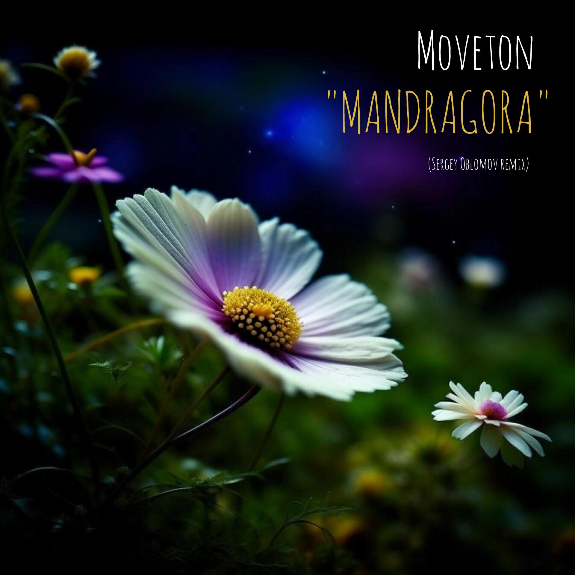 Постер альбома Mandragora (Sergey Oblomov Remix)