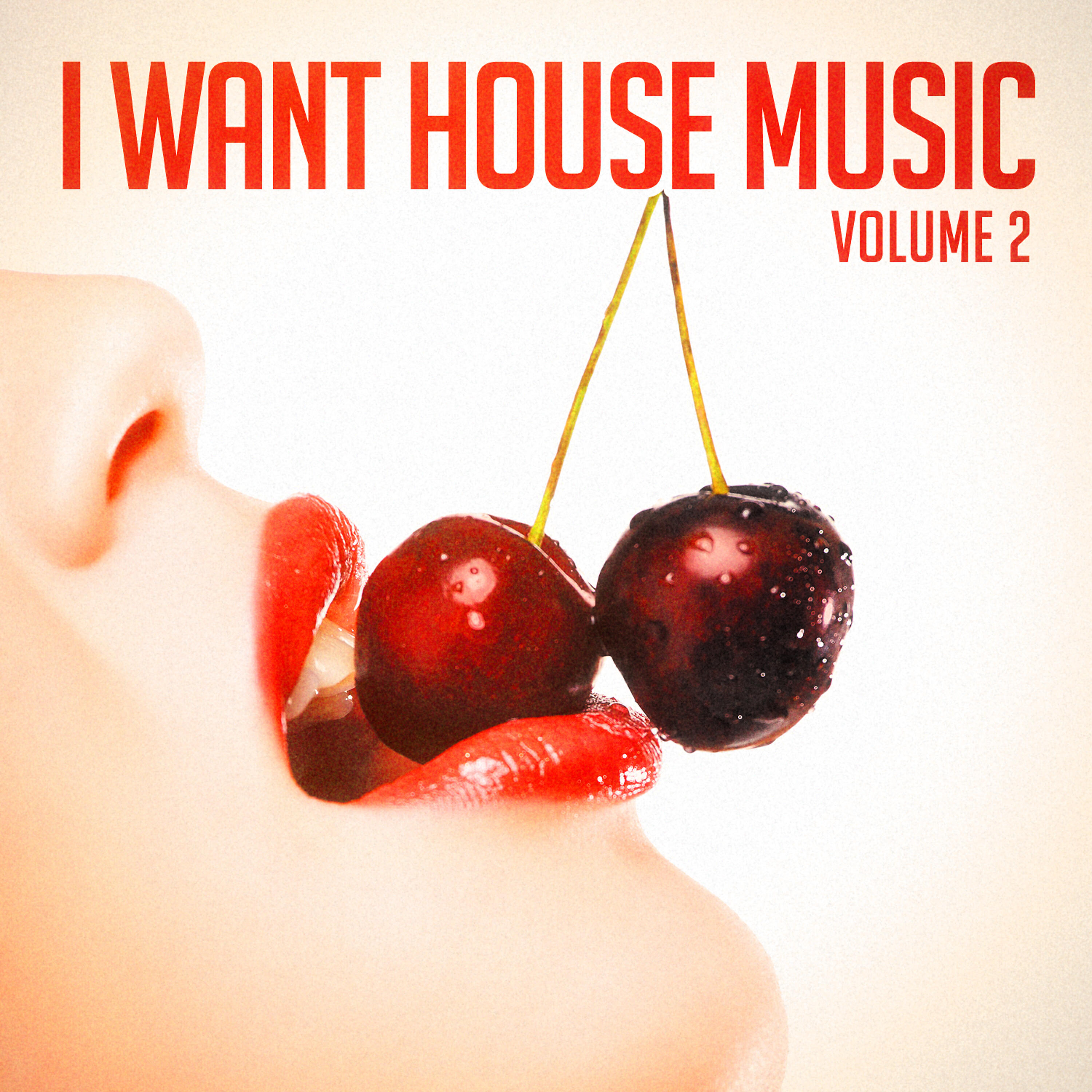 Релиз I Want House Music, Vol. 2