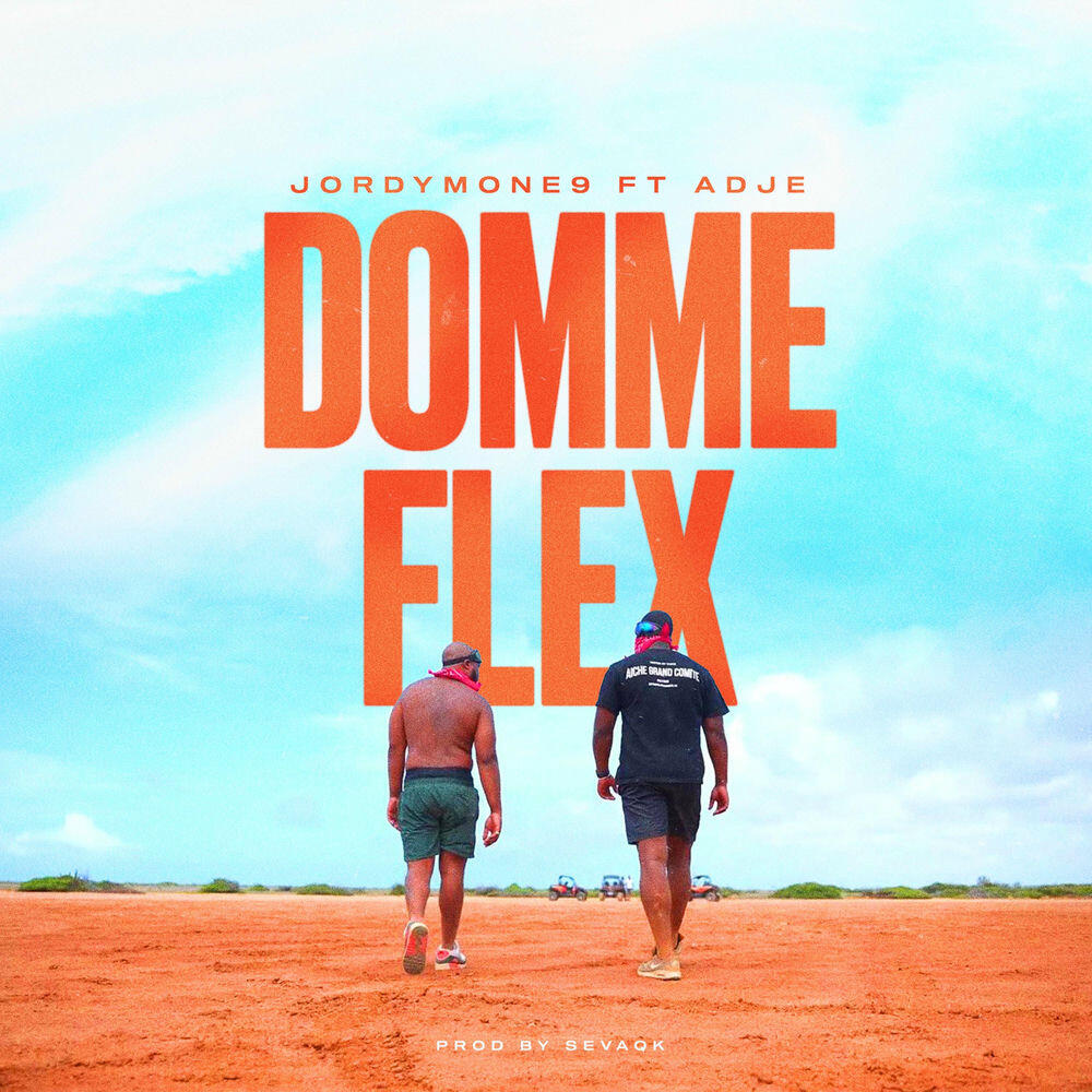 Релиз Domme Flex