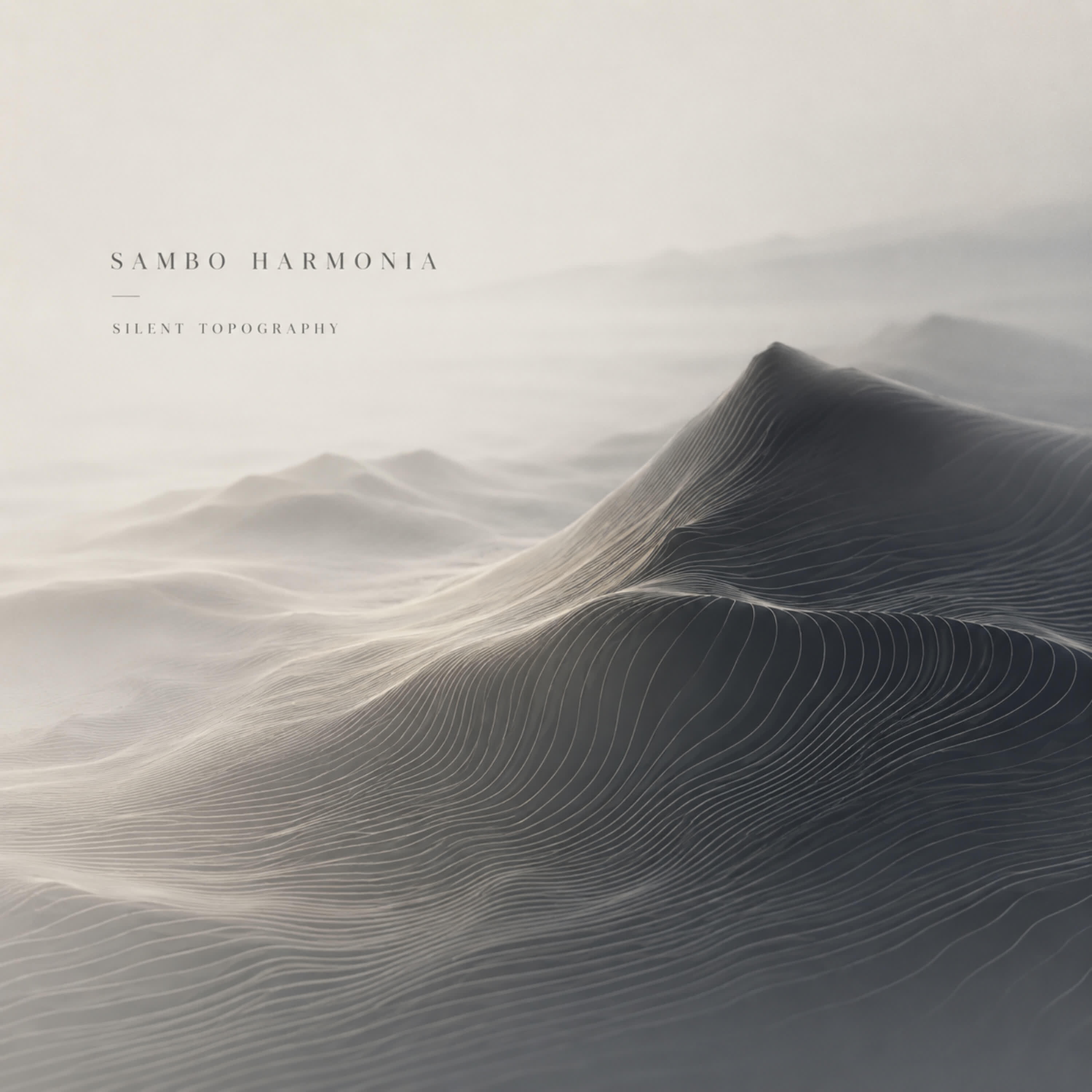 Релиз Silent Topography
