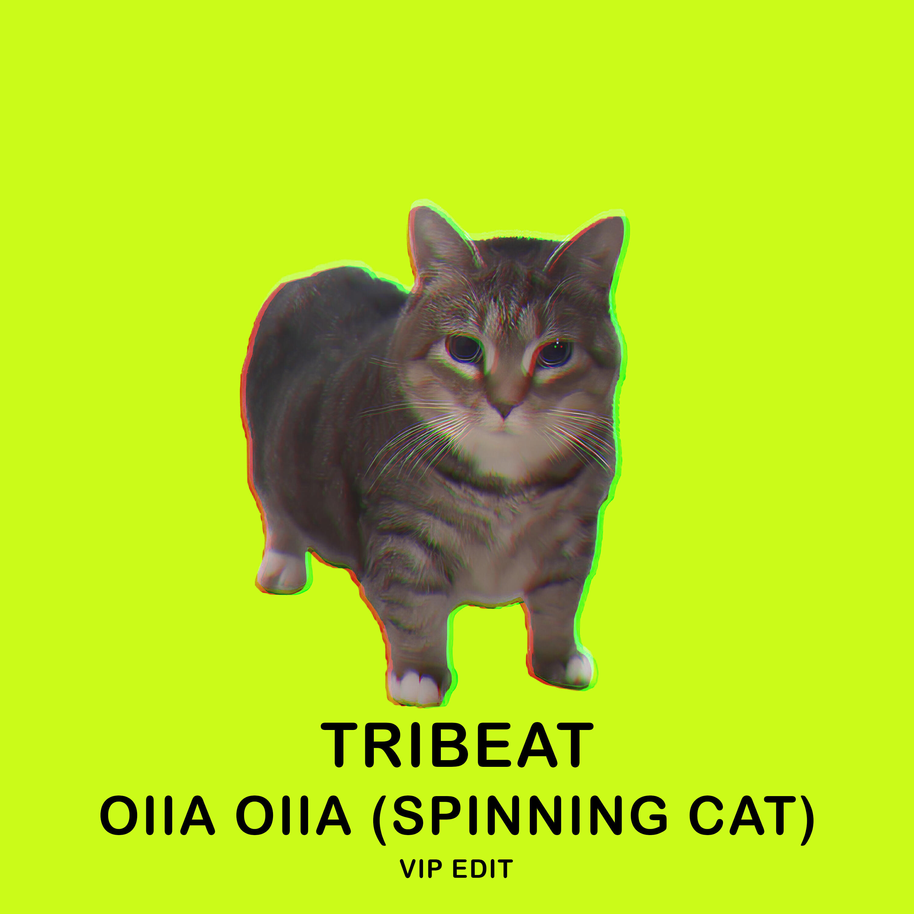 Релиз OIIA OIIA (Spinning Cat) [VIP EDIT]