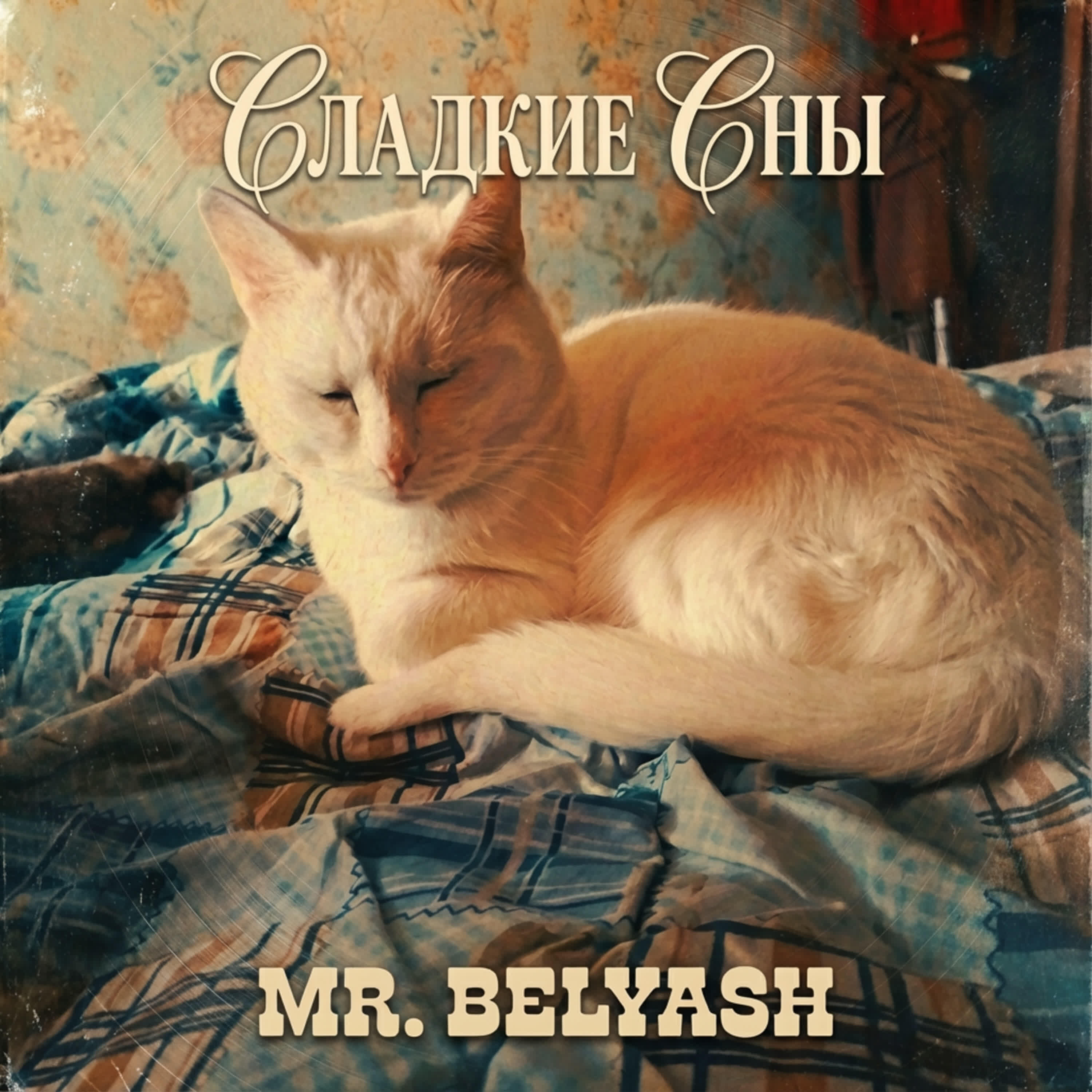 Релиз Сладкие сны
