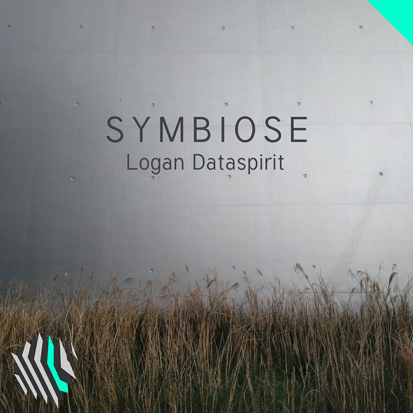 Релиз Symbiose