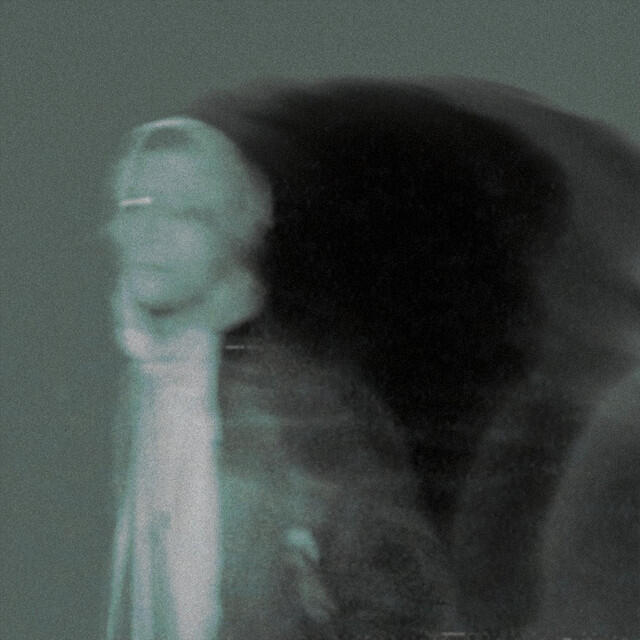 Релиз The Destructive Character