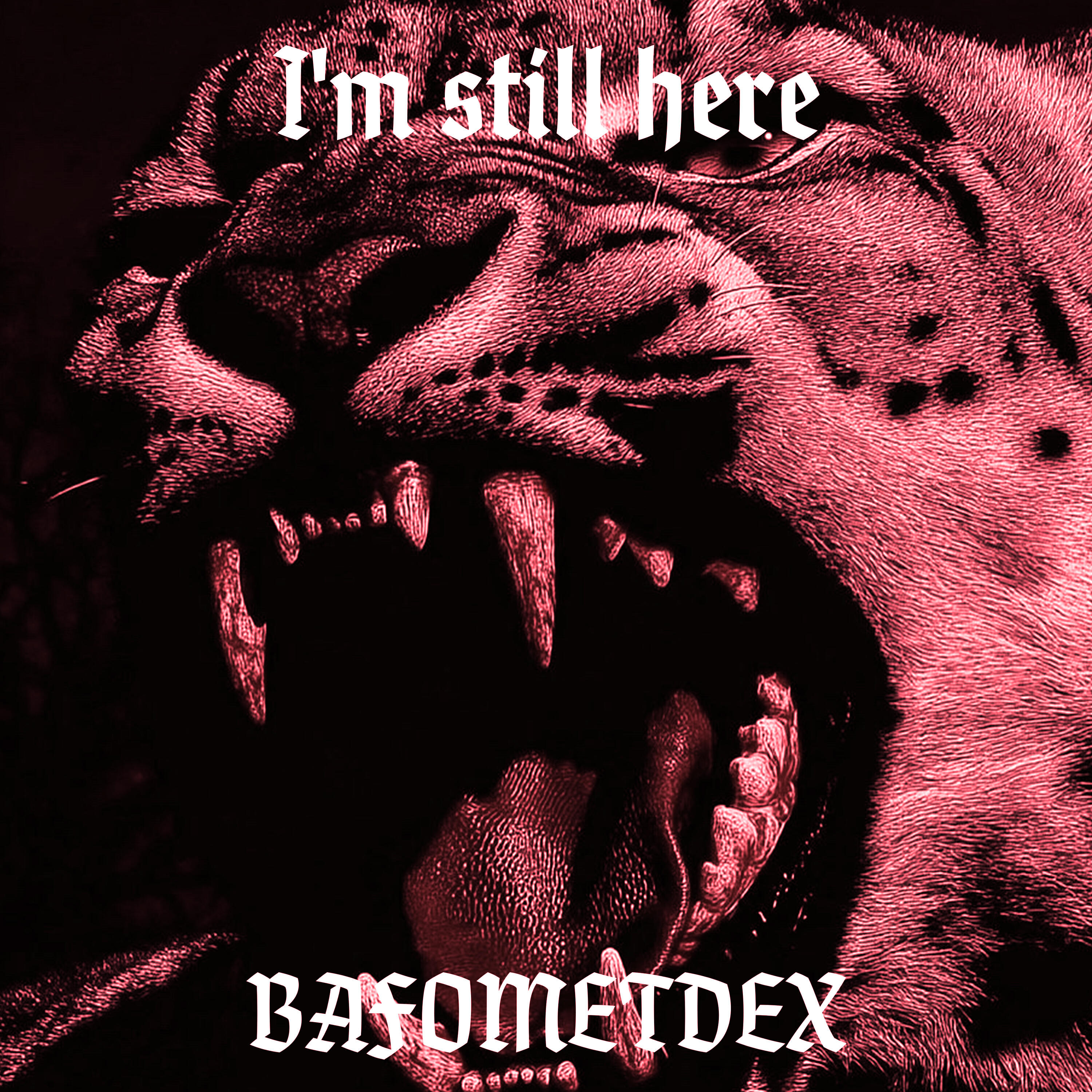 Постер альбома I'm Still Here
