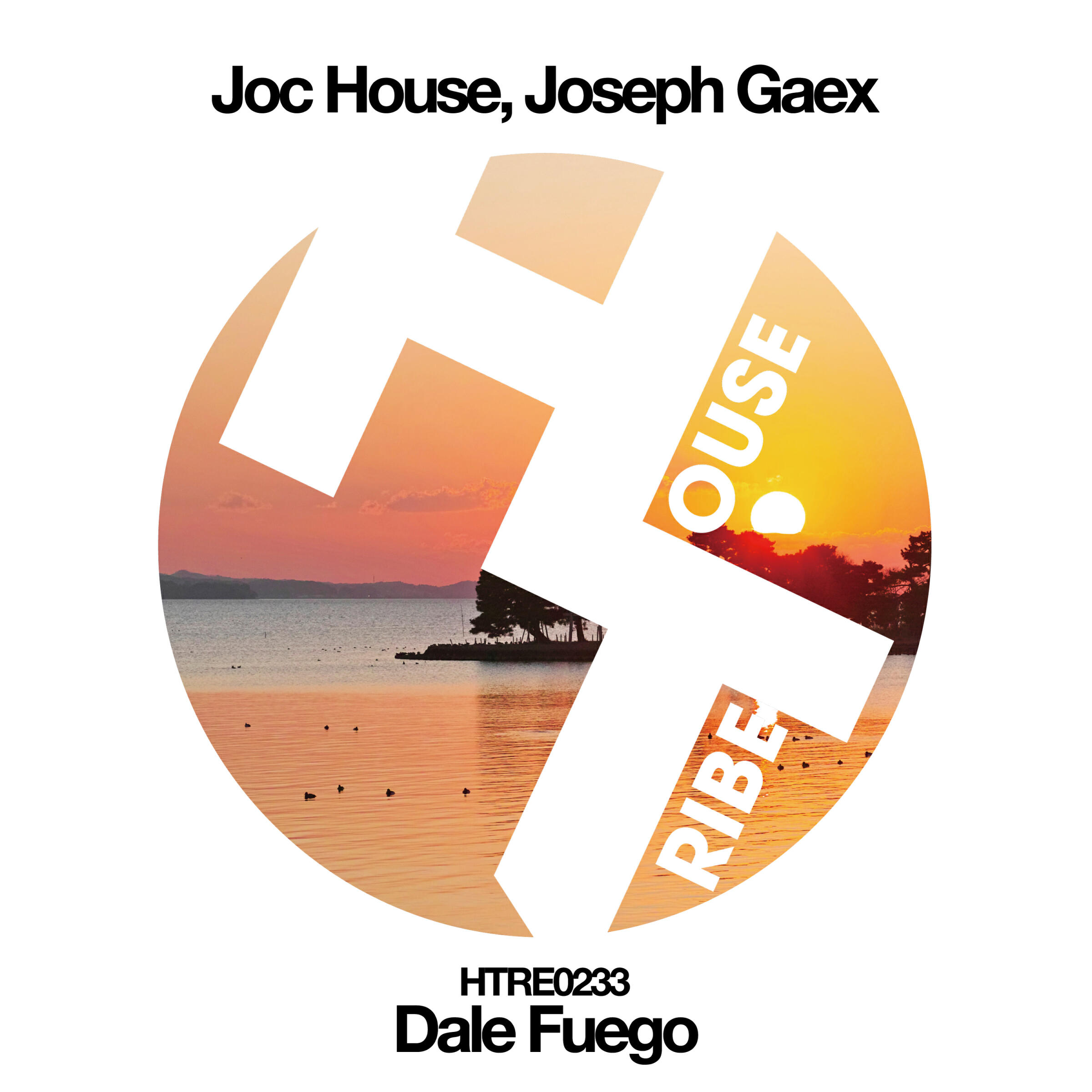 Joc House