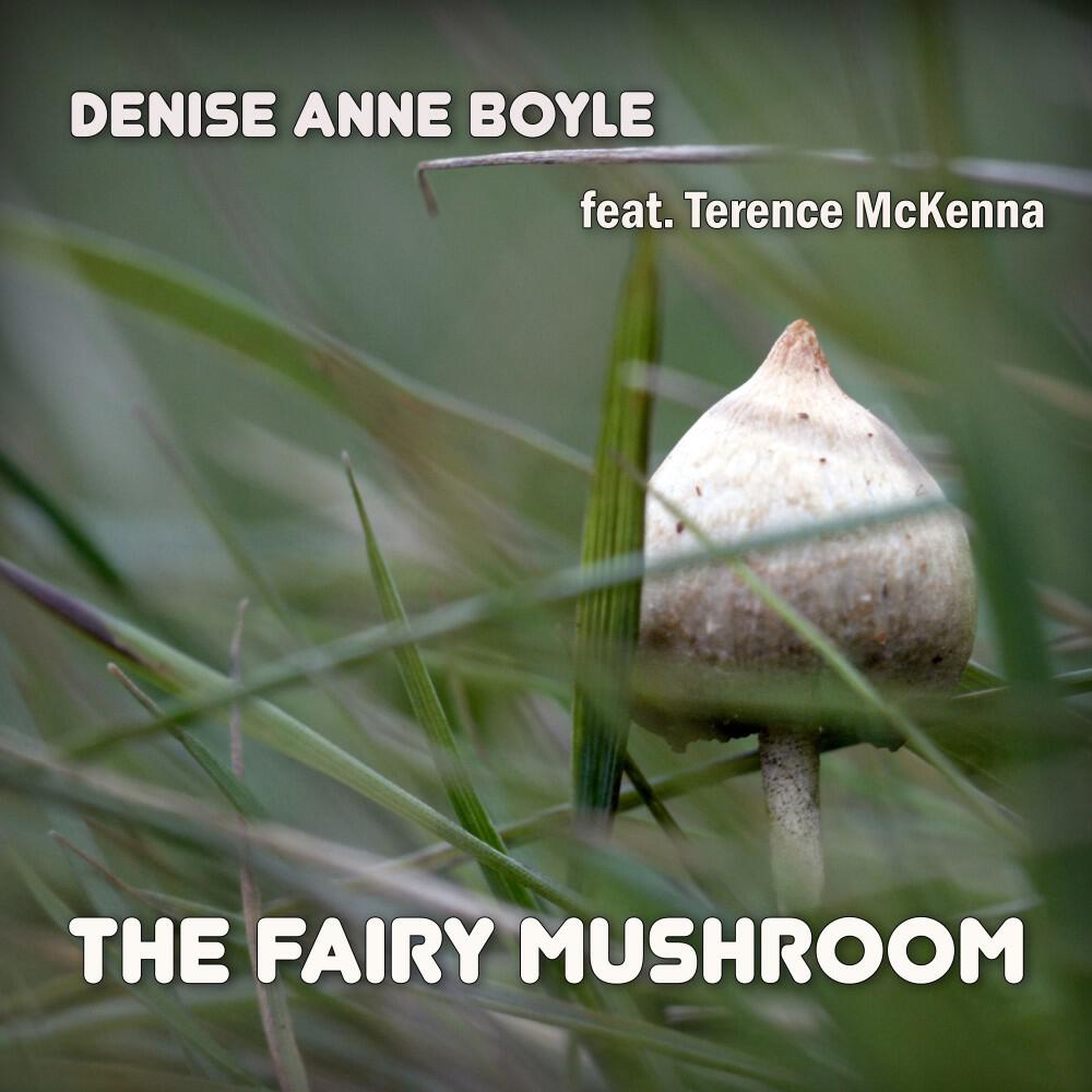 Denise Anne Boyle