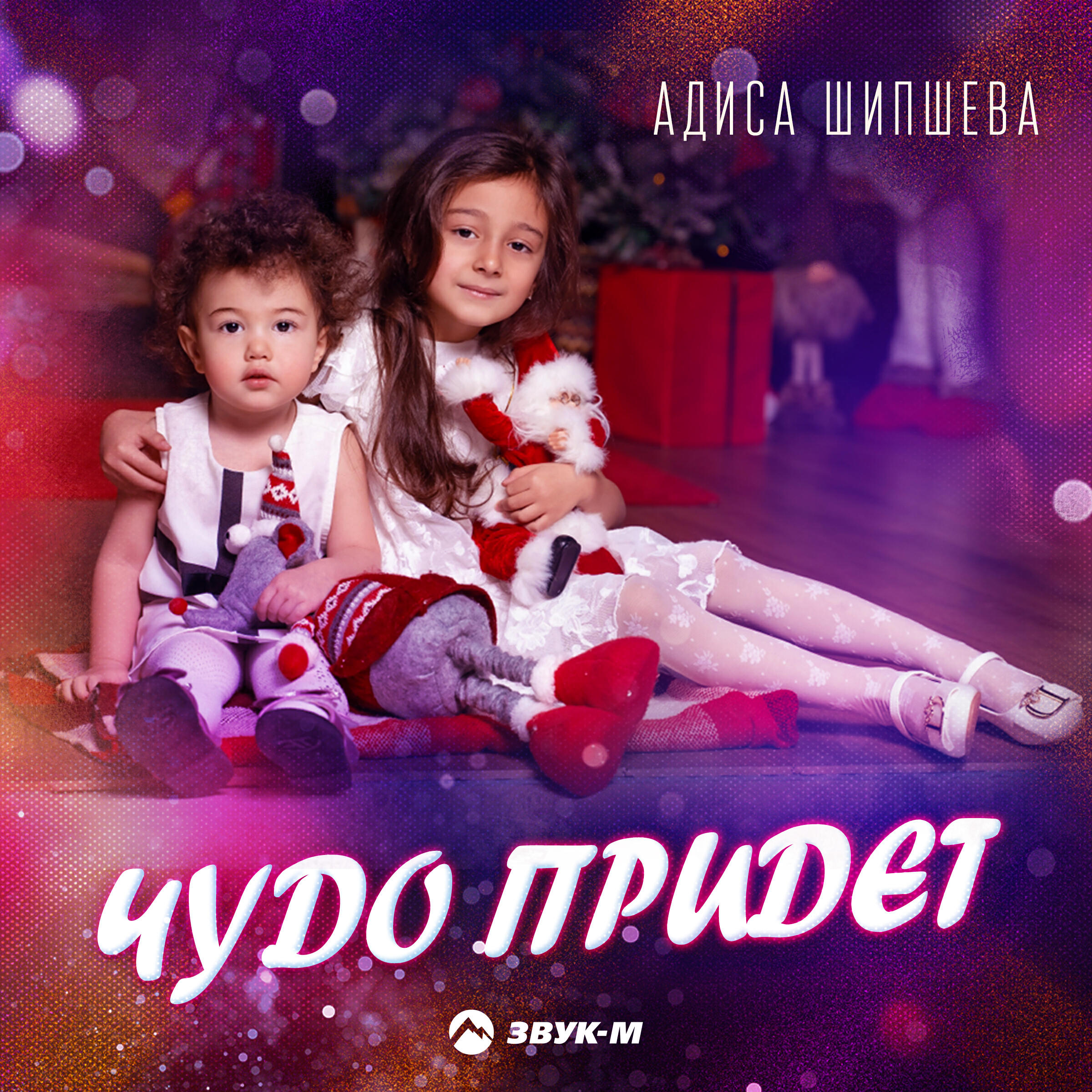 Адиса Шипшева