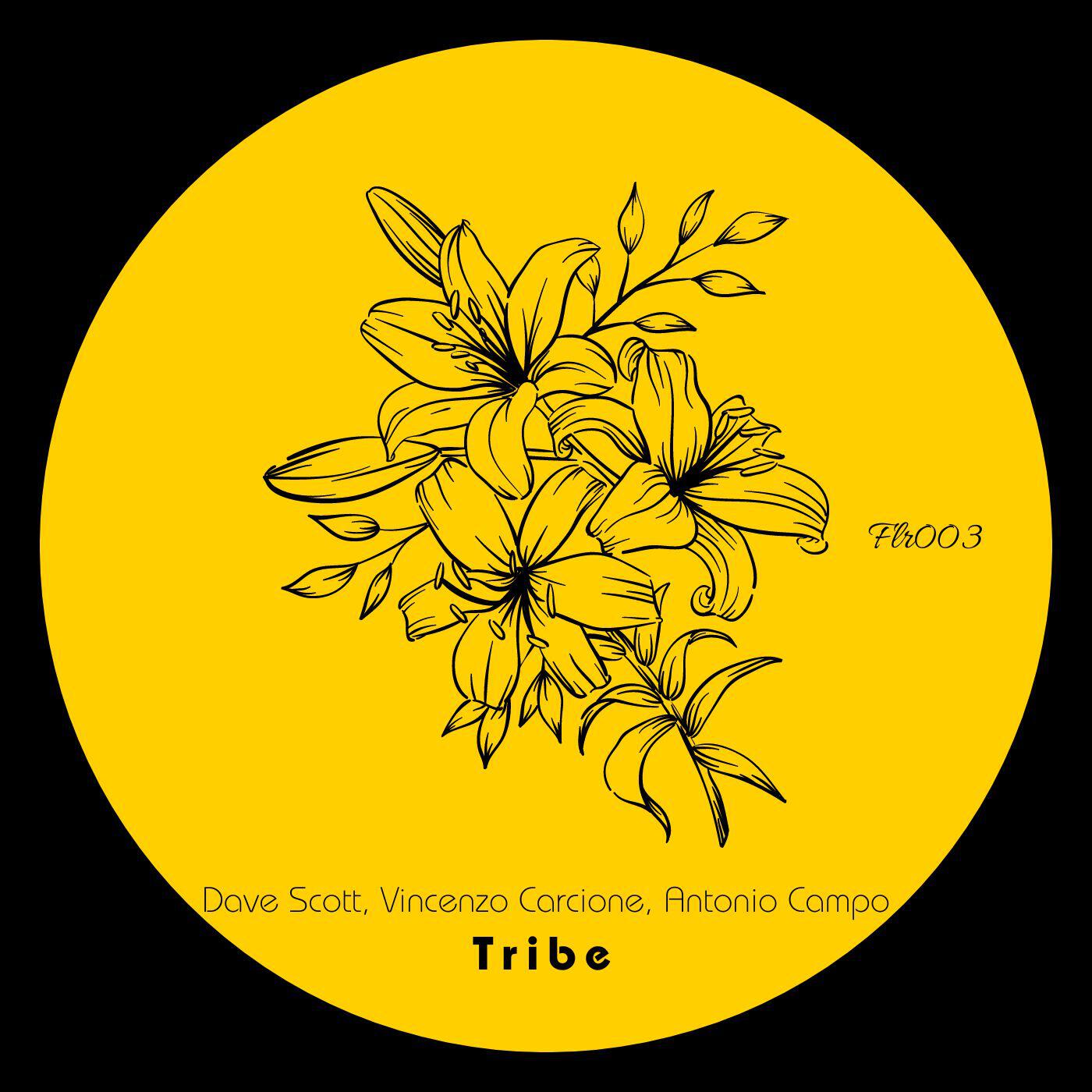 Релиз Tribe
