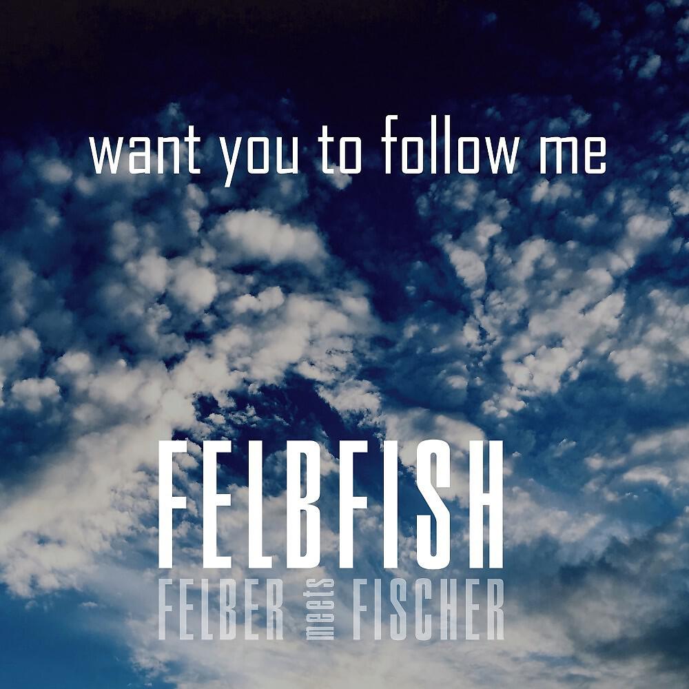 Felbfish