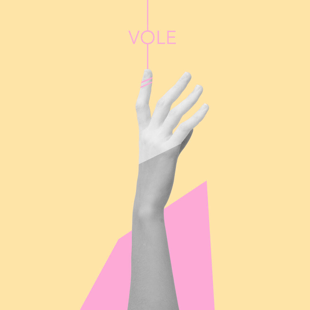 Релиз Vole