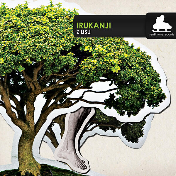 Релиз Z Lisu
