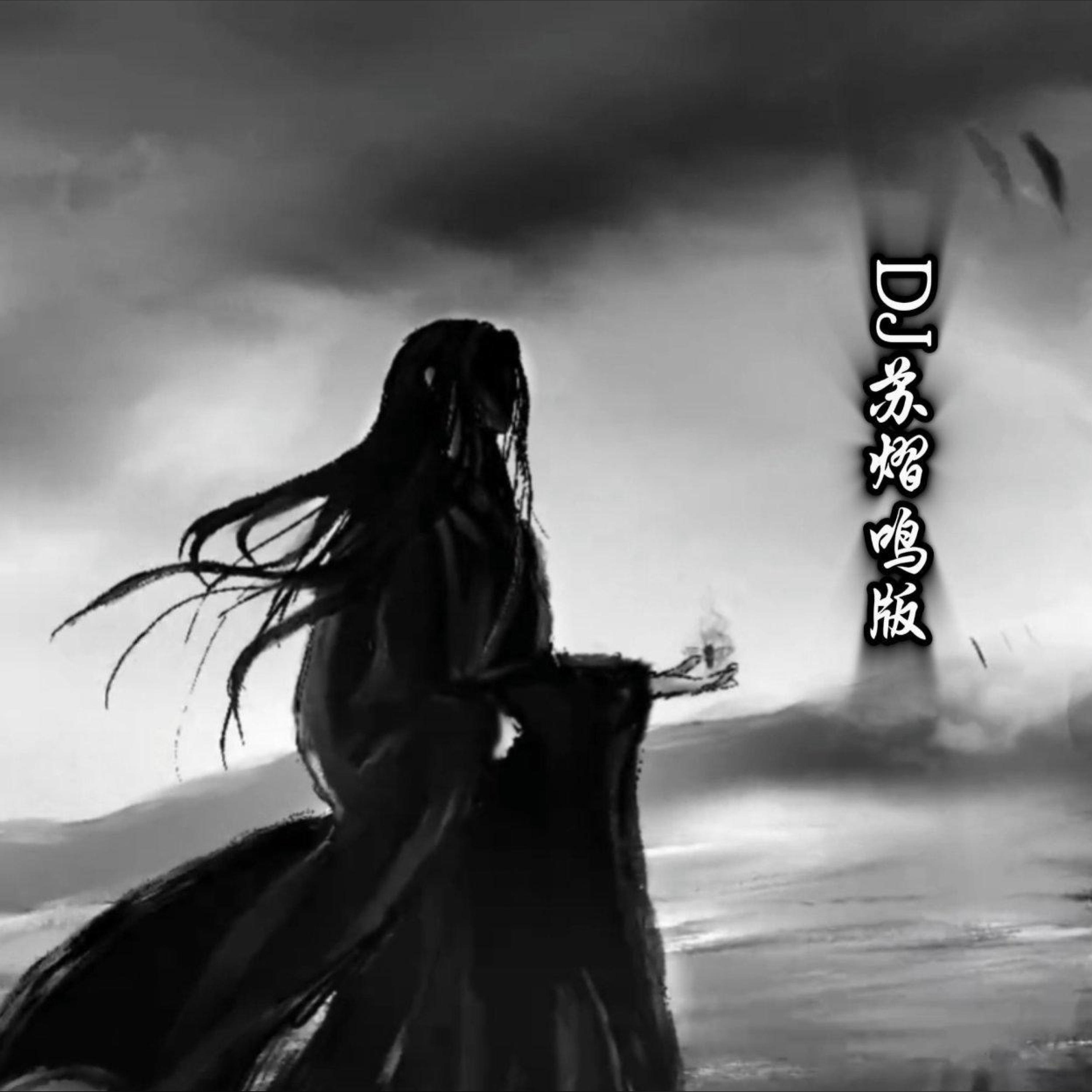 Трек 青丝 (DJ苏熠鸣版)