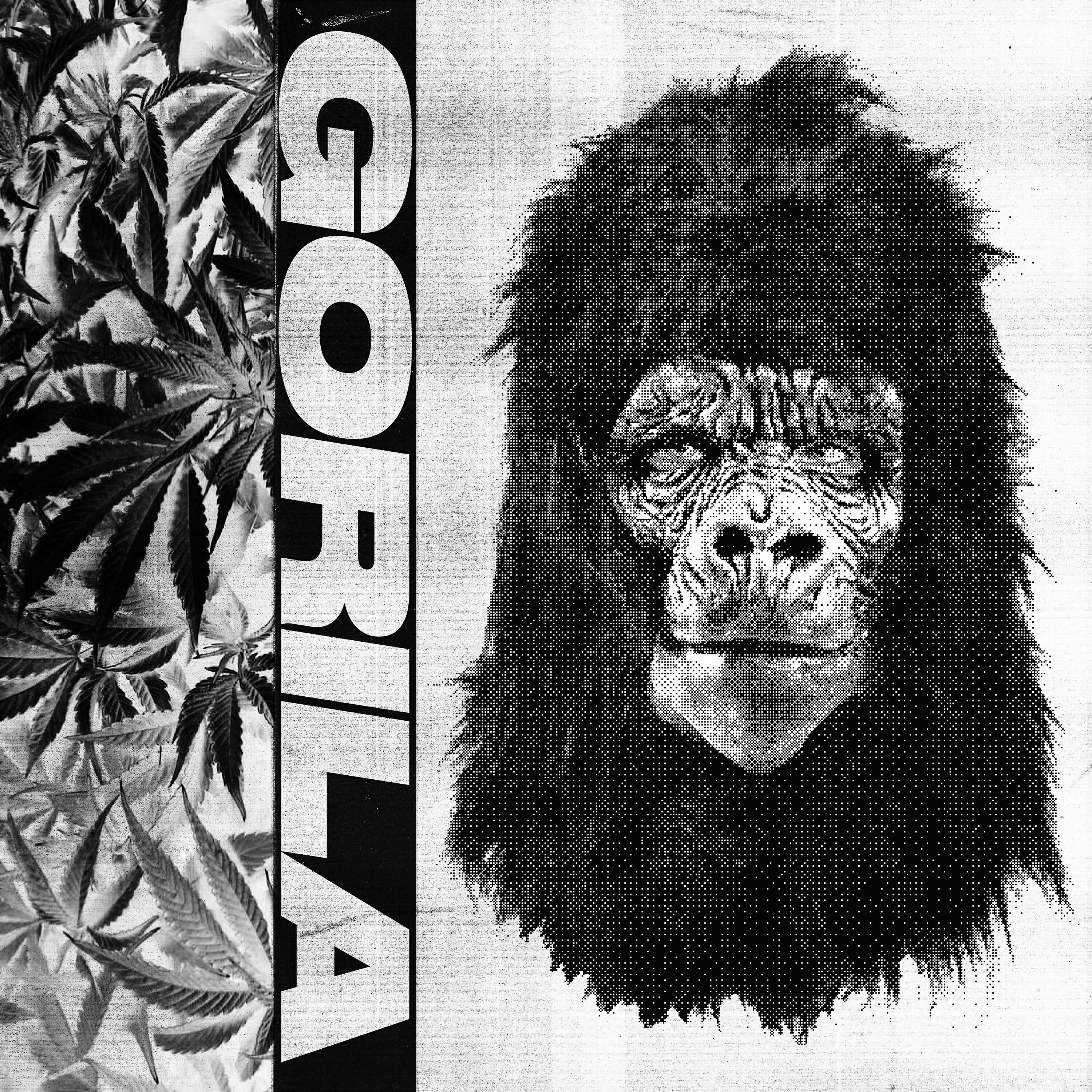 Релиз Gorila