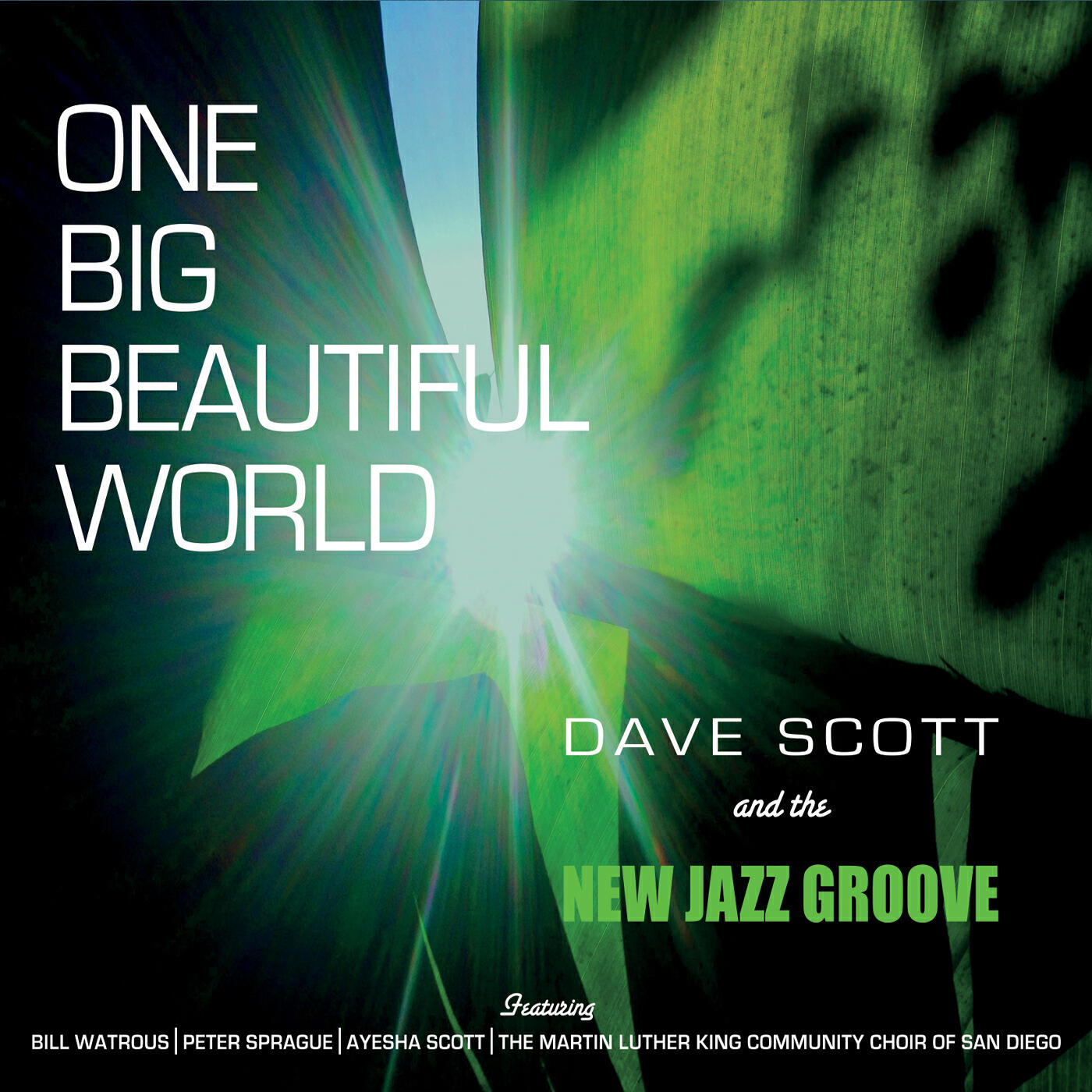 Релиз One Big Beautiful World