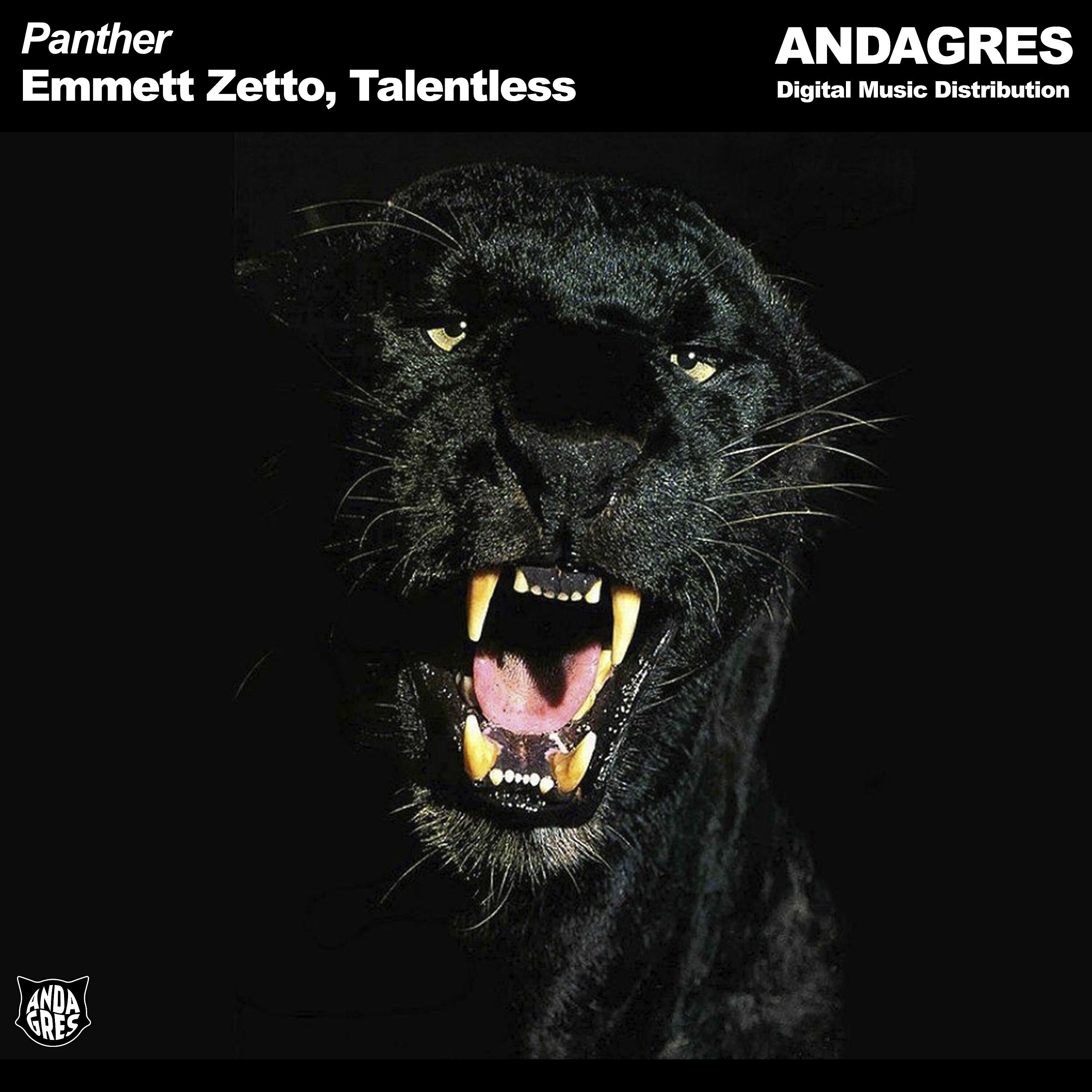 Постер альбома Panther