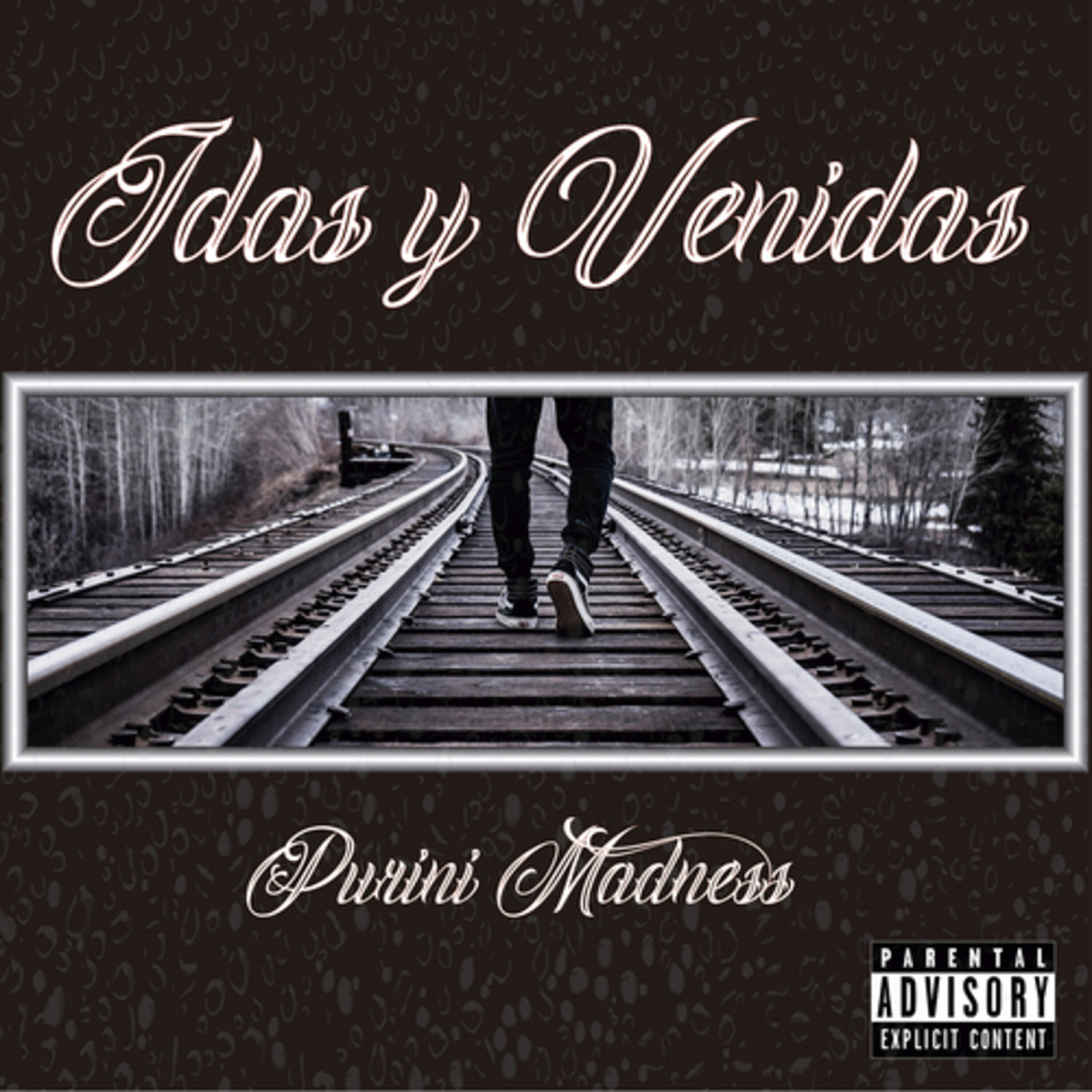 Постер альбома Idas y Venidas