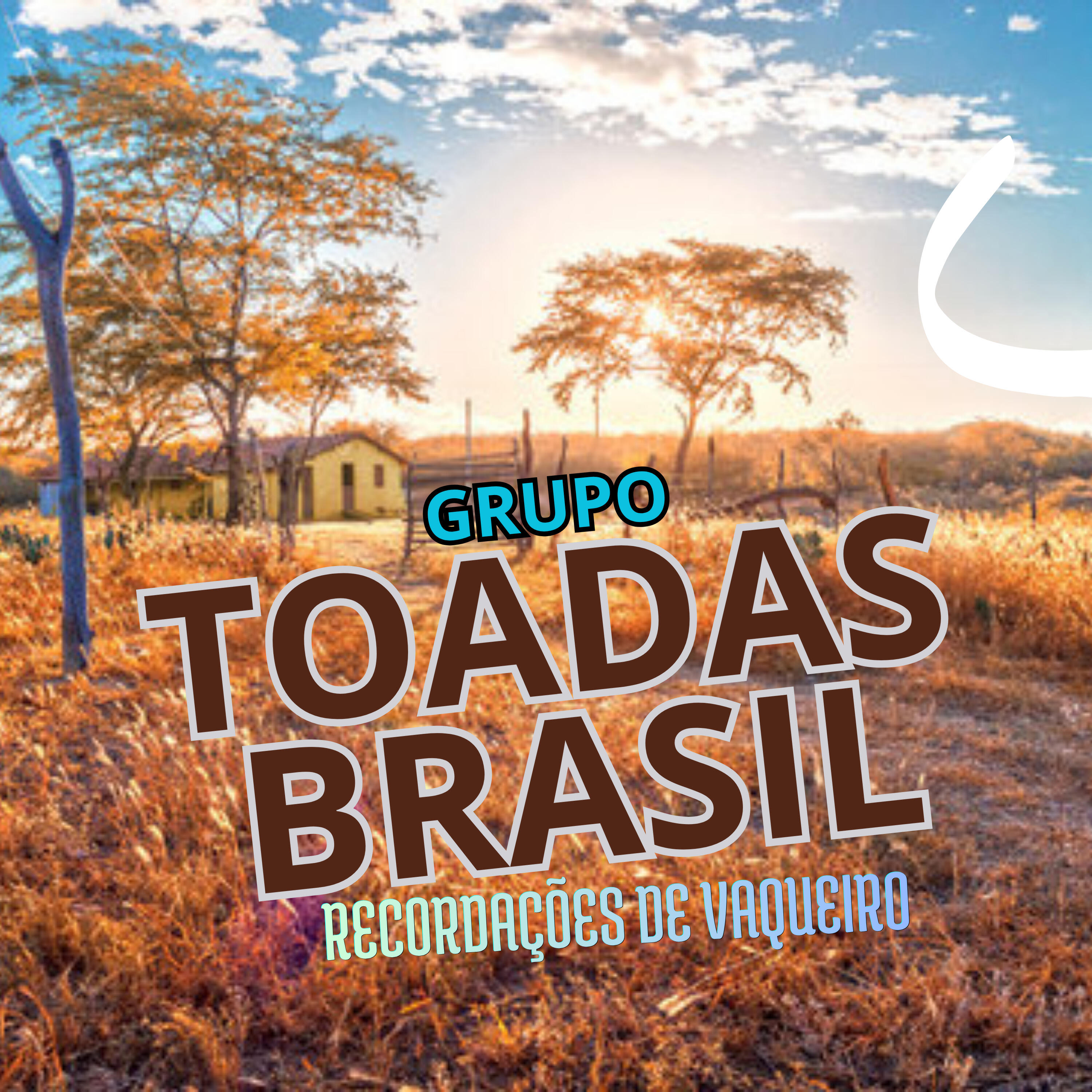 Grupo Toadas Brasil