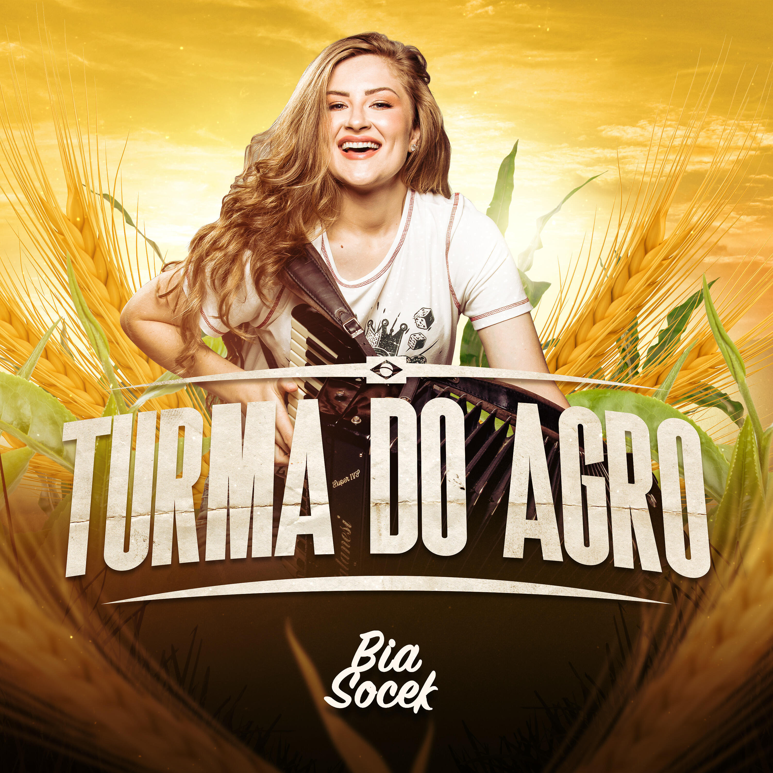 Релиз Turma do Agro