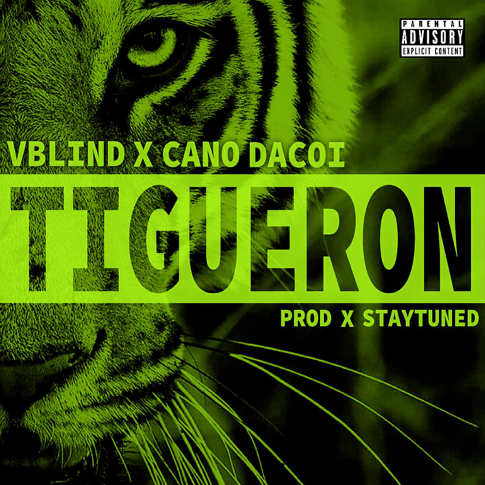 Скачать песню V.Blind, Cano Dacoi, Staytuned - Tigueron (Original Mix) бесплатно в MP3 для Android и iOS