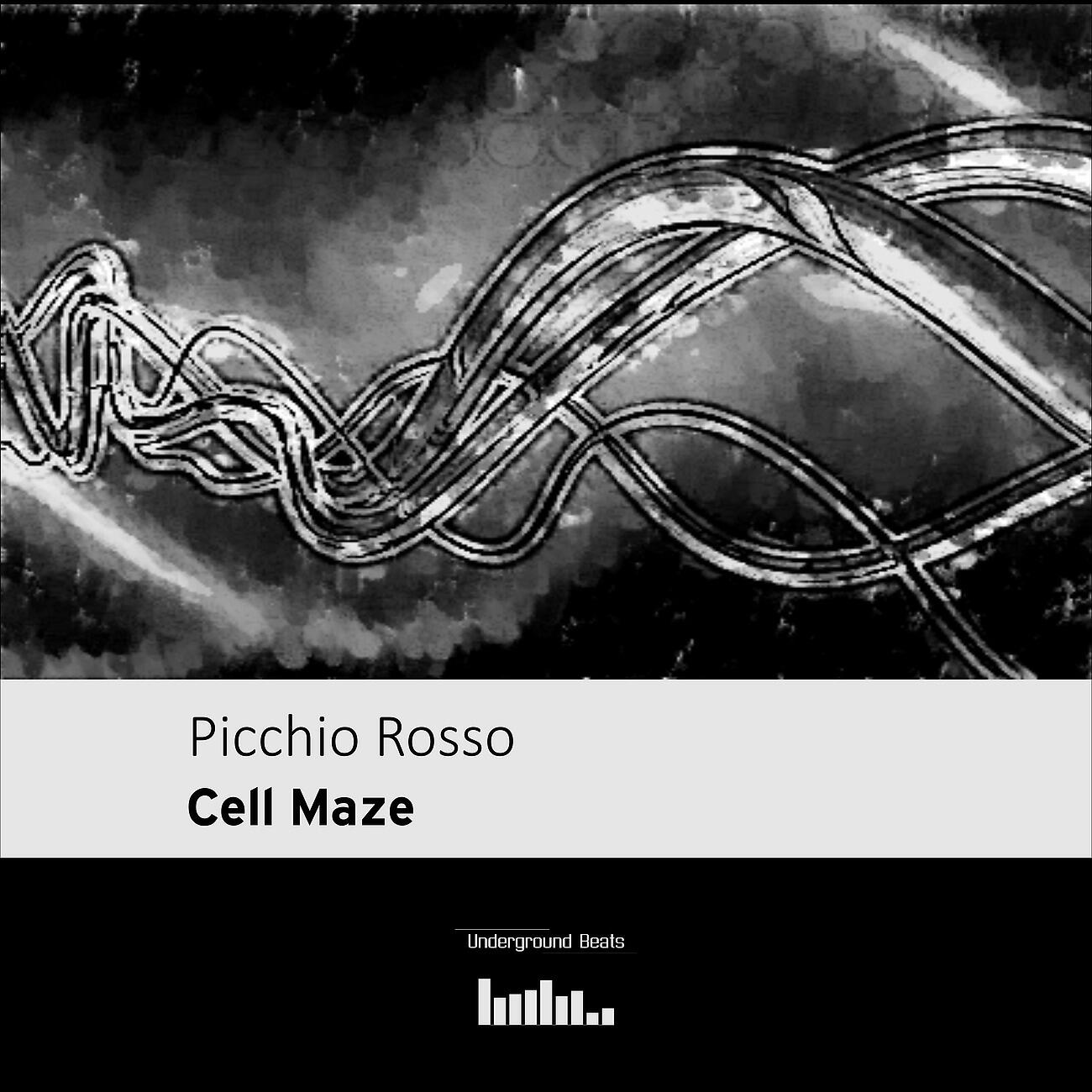 Релиз Cell Maze