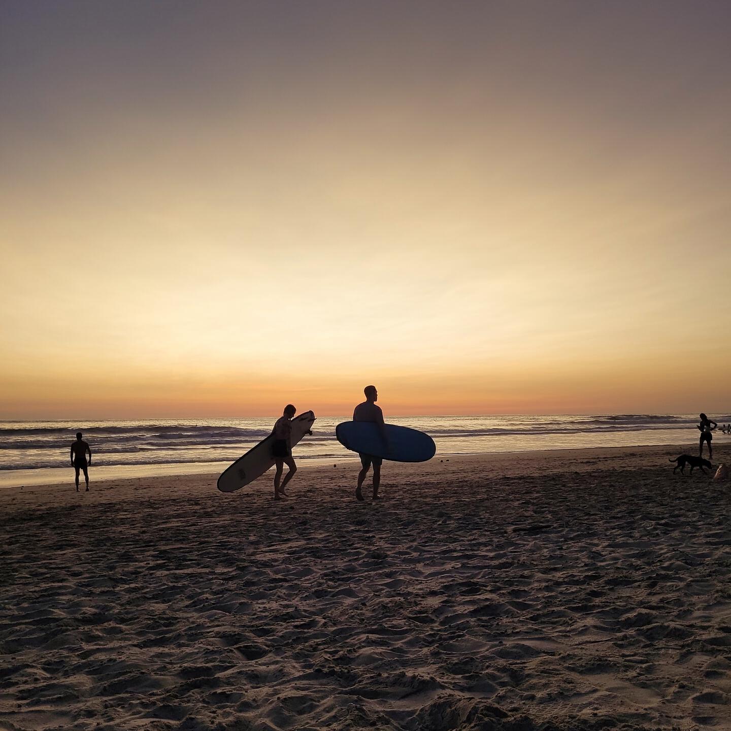 Релиз Soul Surfer