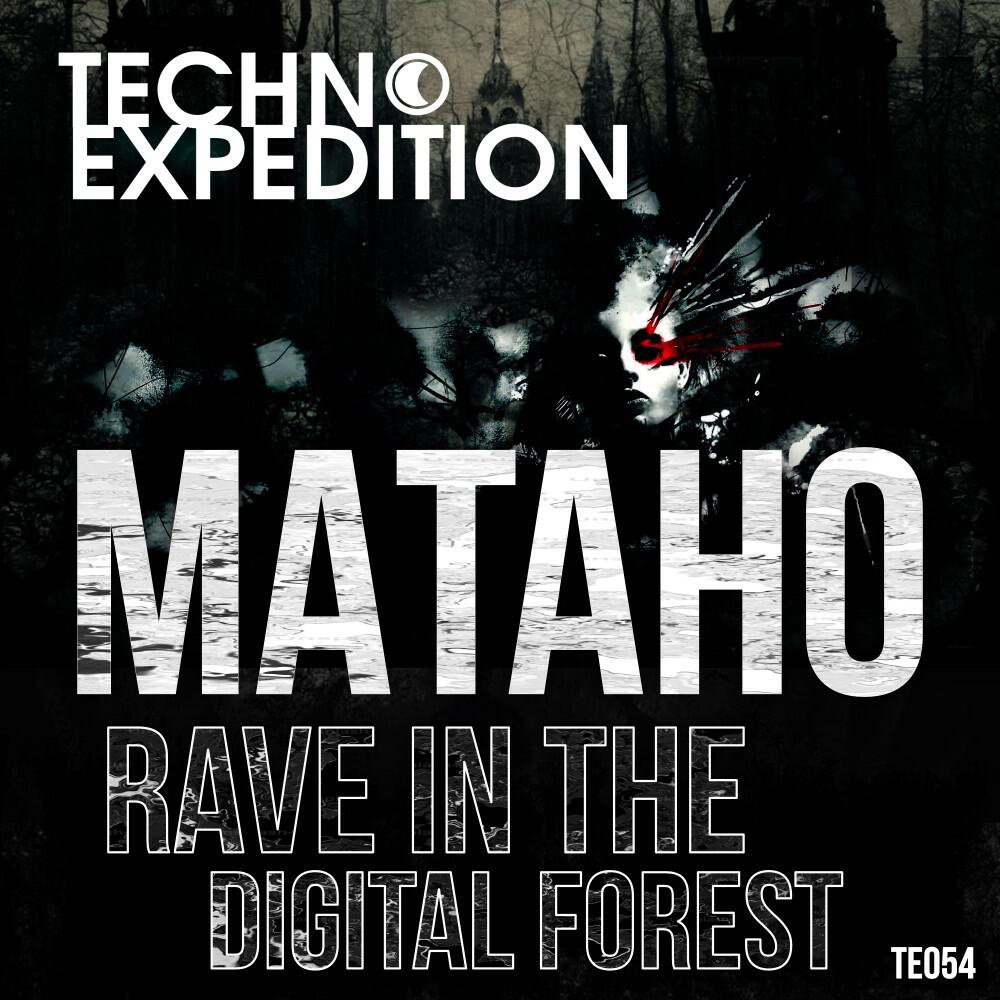 Релиз Rave in the Digital Forest