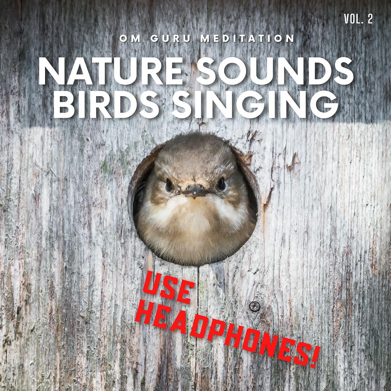 Релиз Nature Sounds, Birds Singing (Use Headphones) Vol. 2