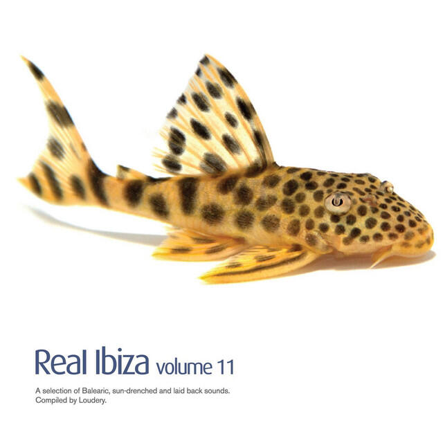 Релиз Real Ibiza Vol 11