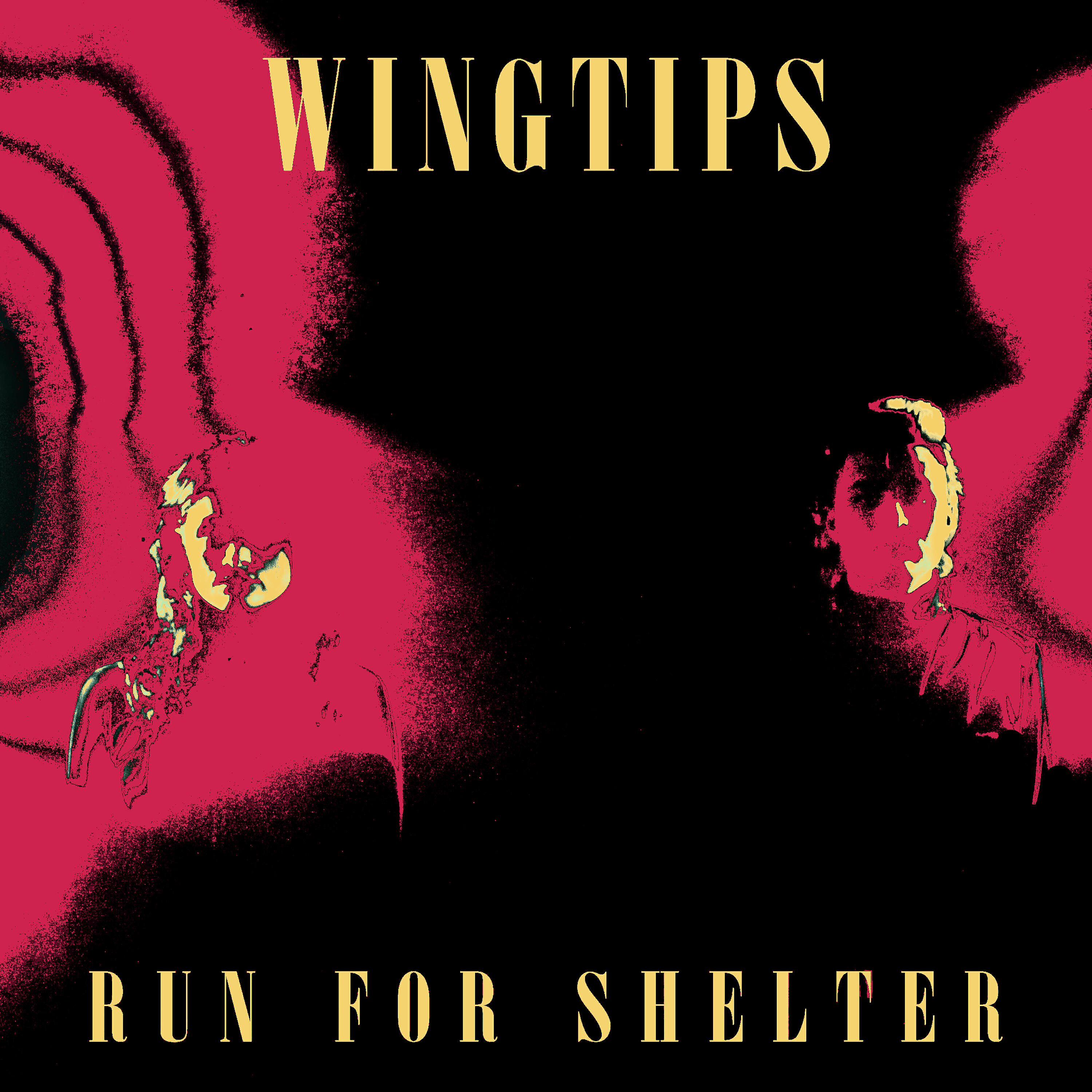 Релиз Run for Shelter
