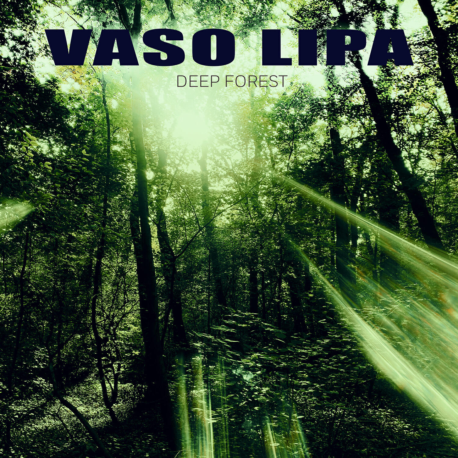 Релиз Deep Forest