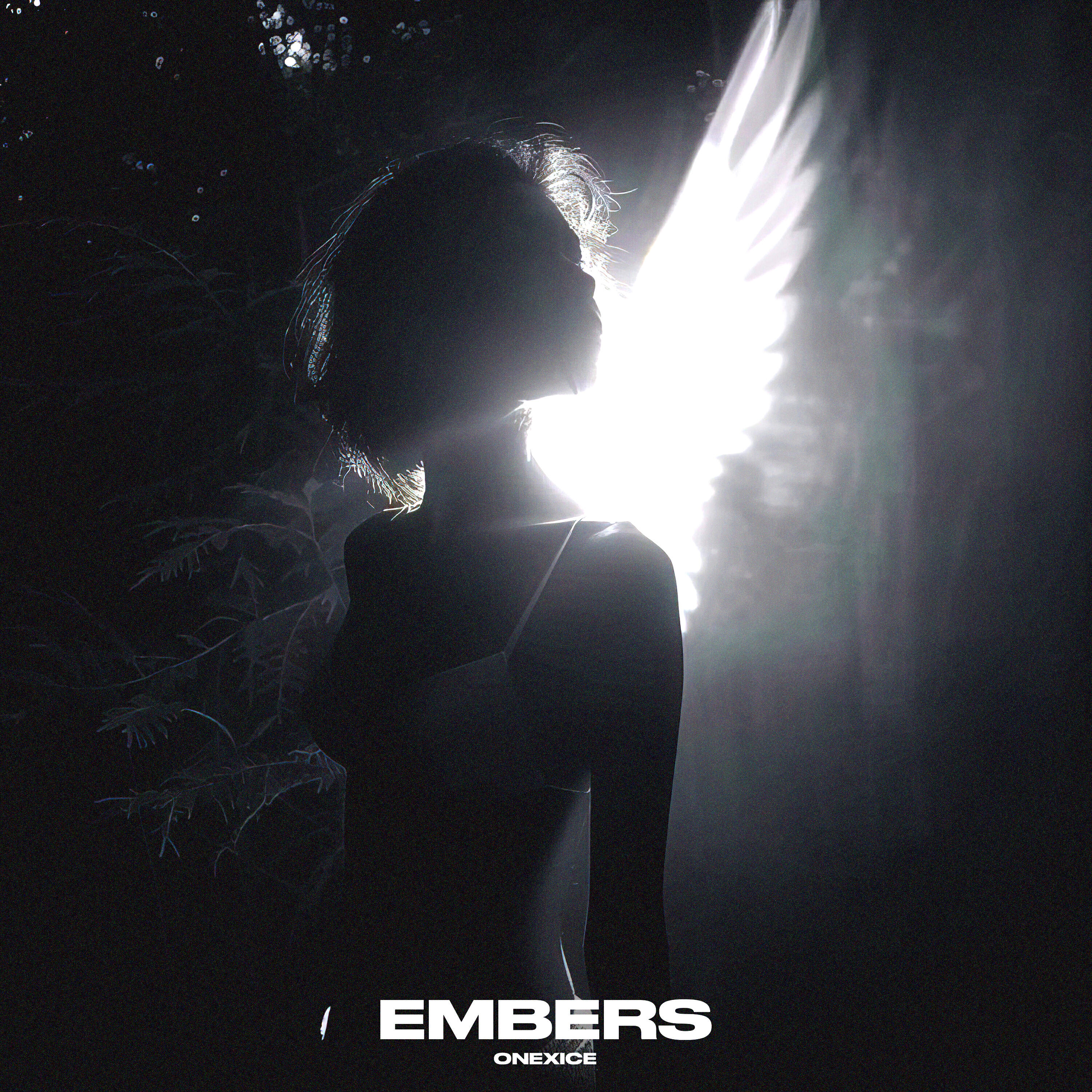 Релиз EMBERS
