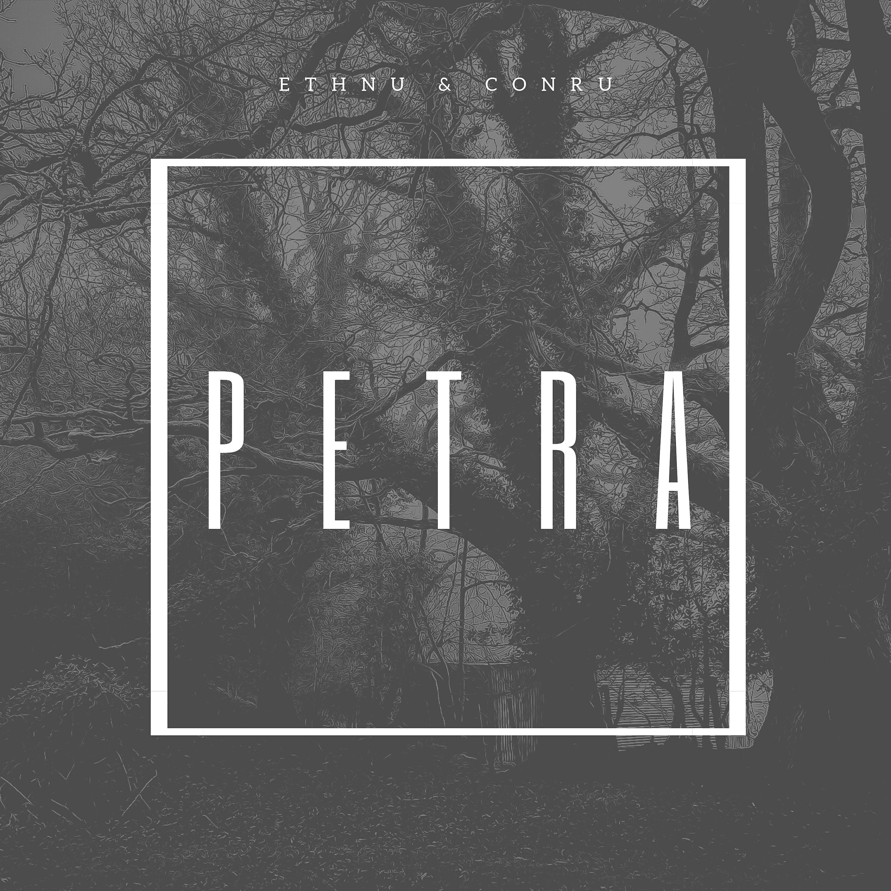 Релиз Petra