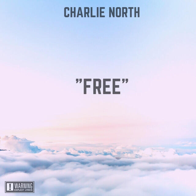 Релиз Free