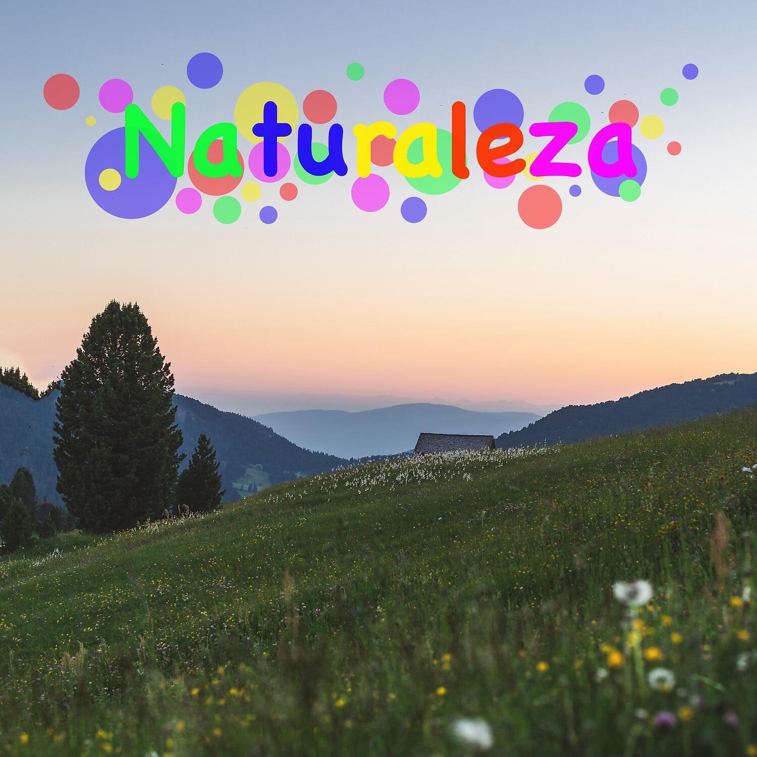 Релиз Naturaleza