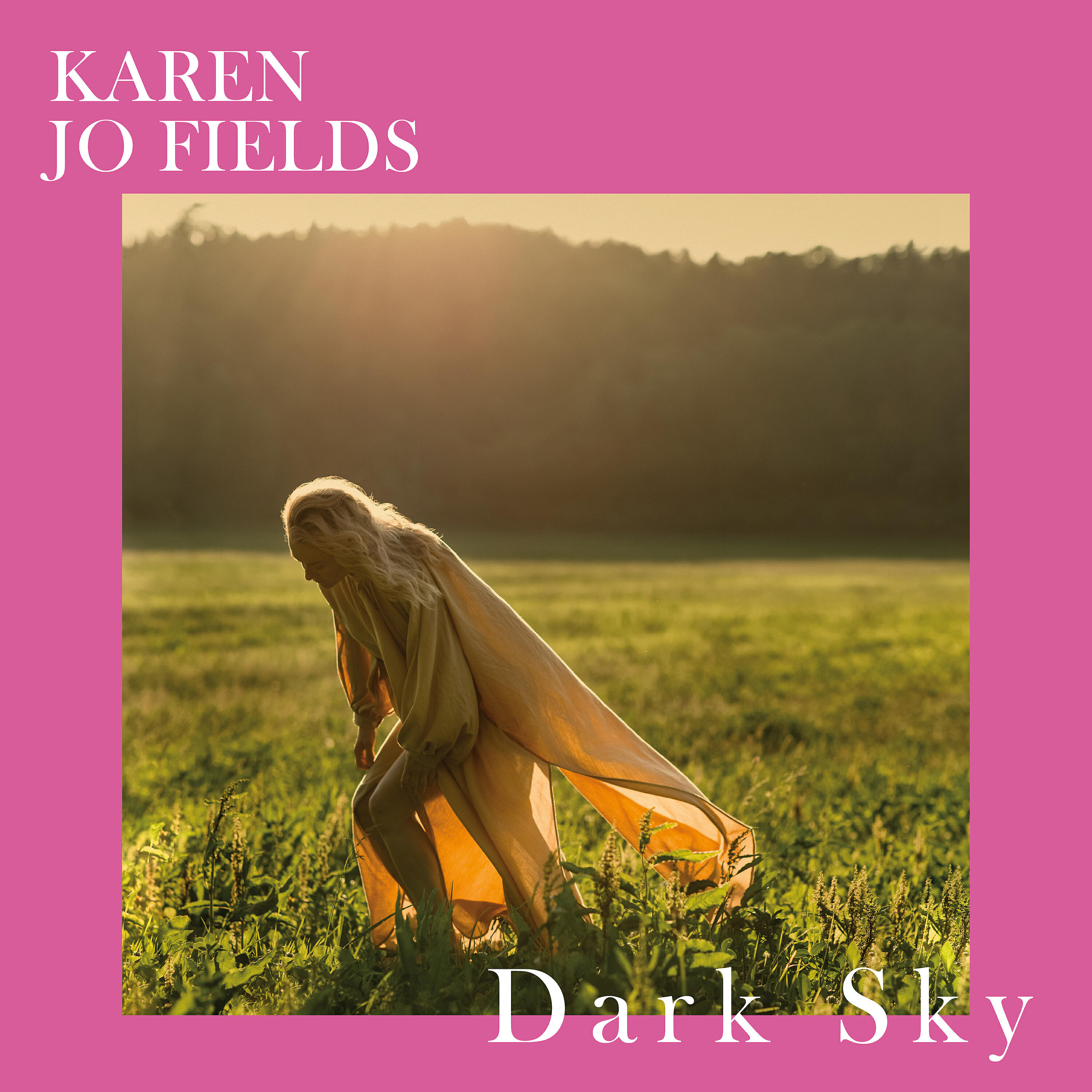 Релиз Dark Sky