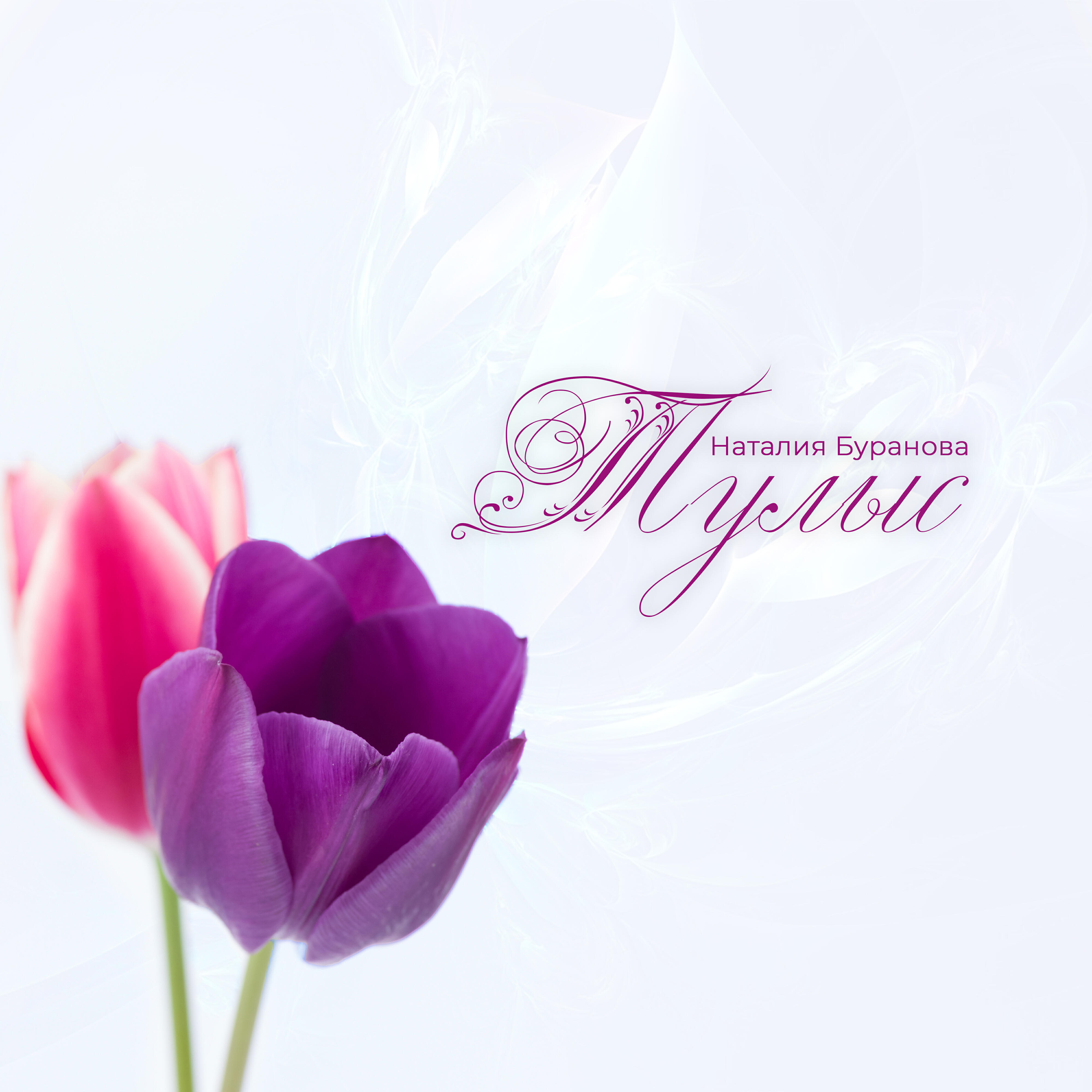 Релиз Тулыс