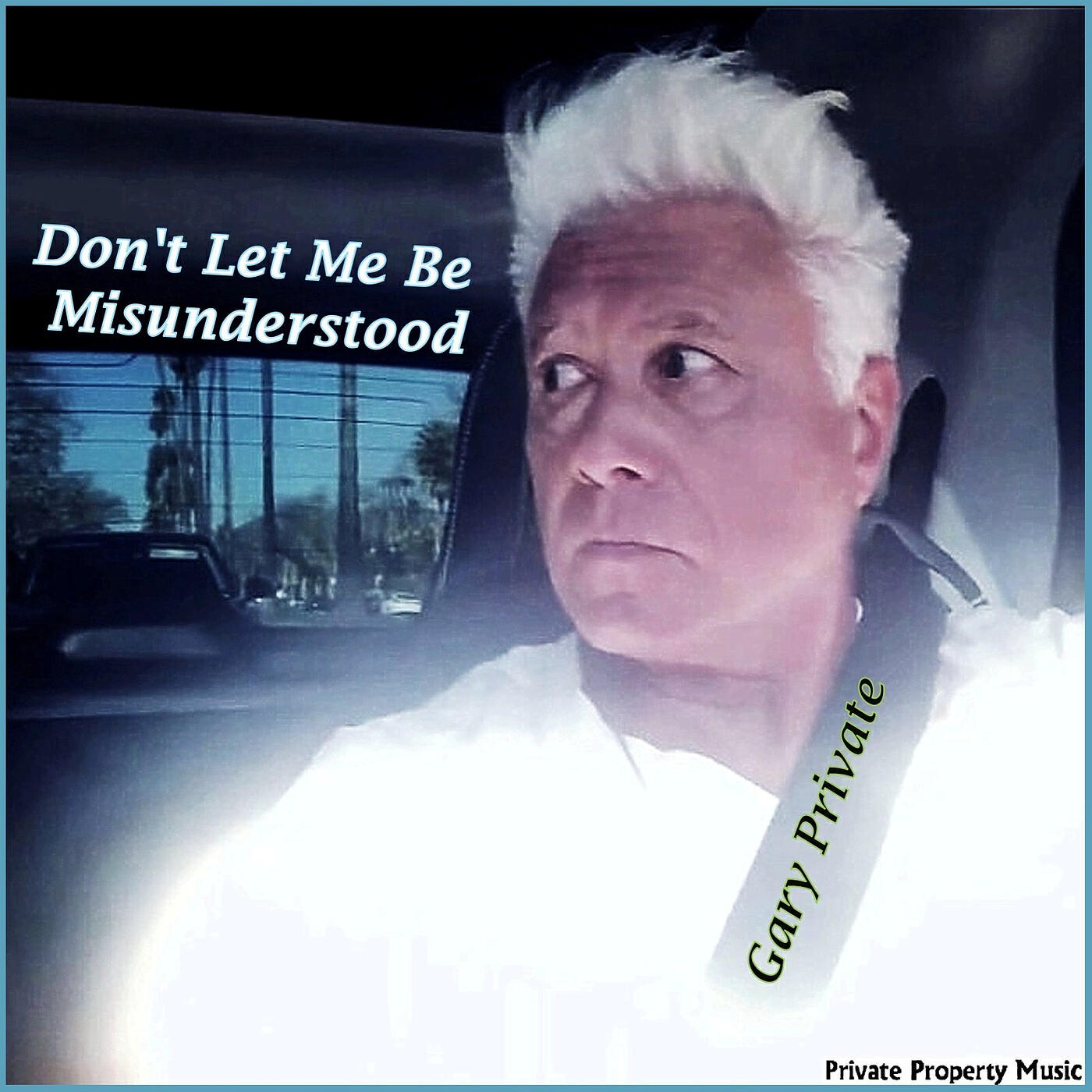 Релиз Don't Let Me Be Misunderstood