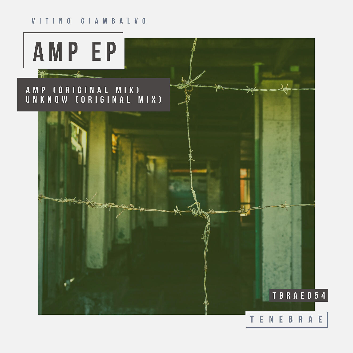 Релиз AMP EP
