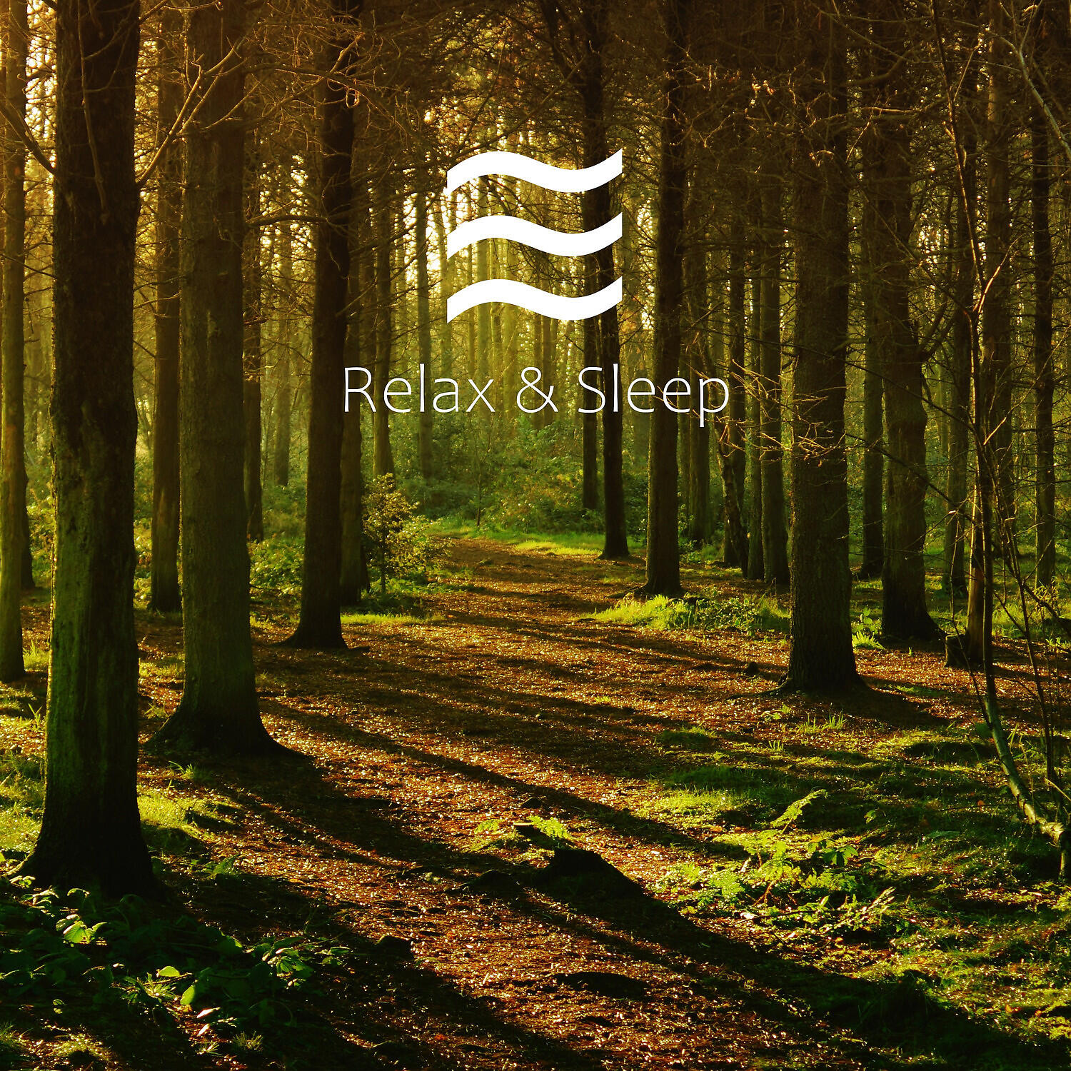 Релиз Sleepful Raining Sounds
