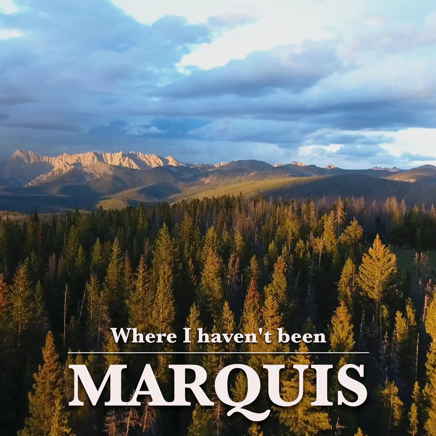 Релиз Where I Haven't Been