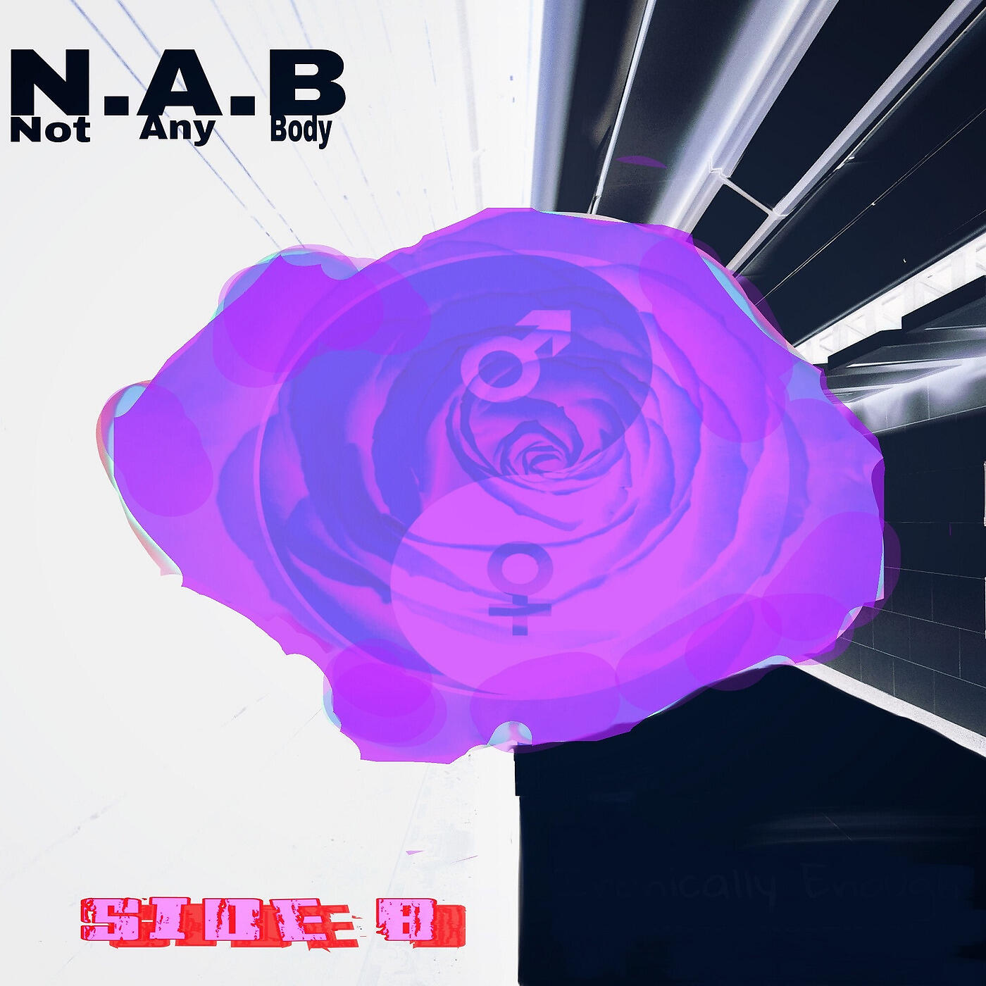 N.A.B
