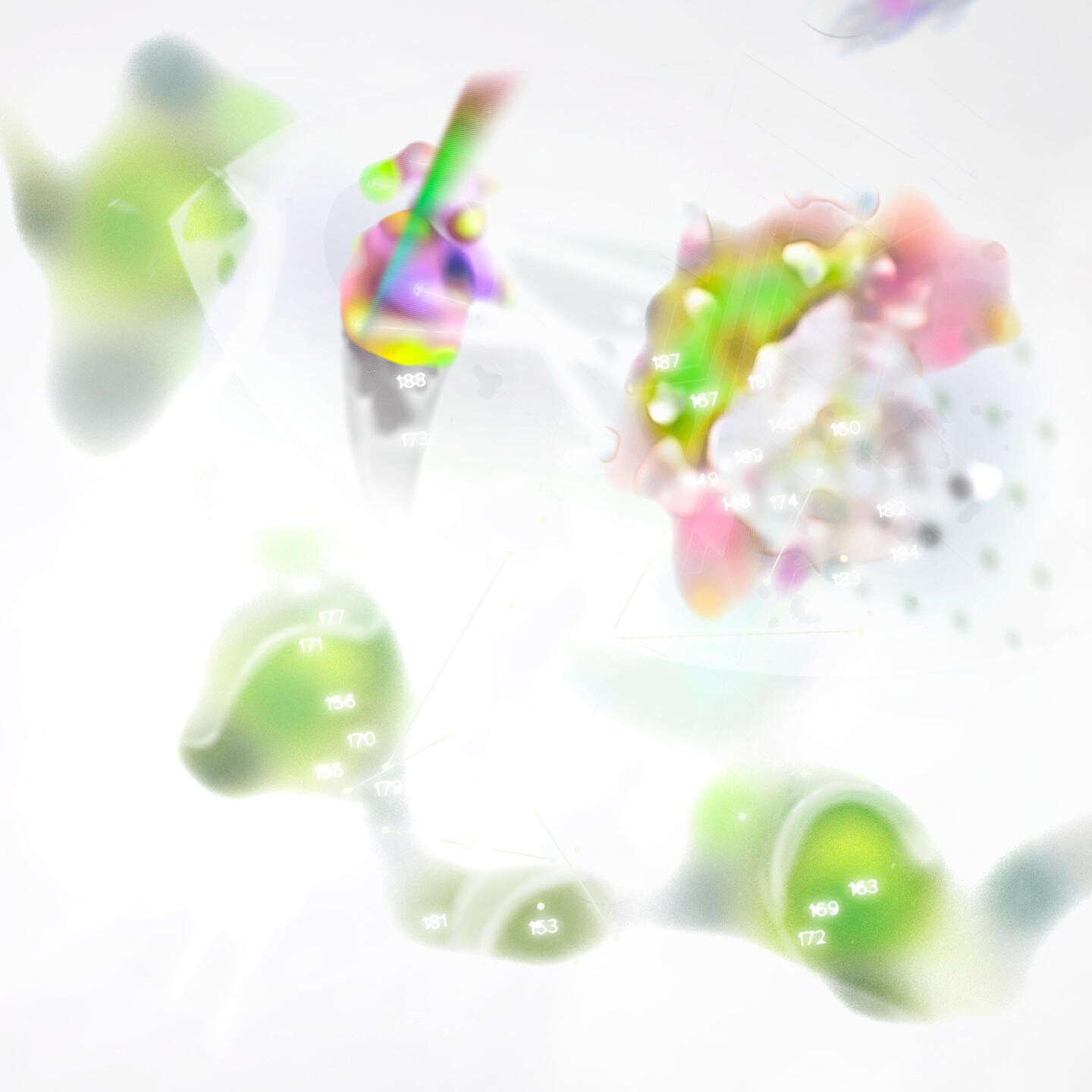 e6c41