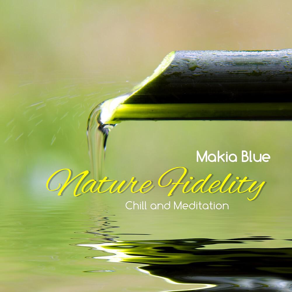 Релиз Nature Fidelity (Chill and Meditation)