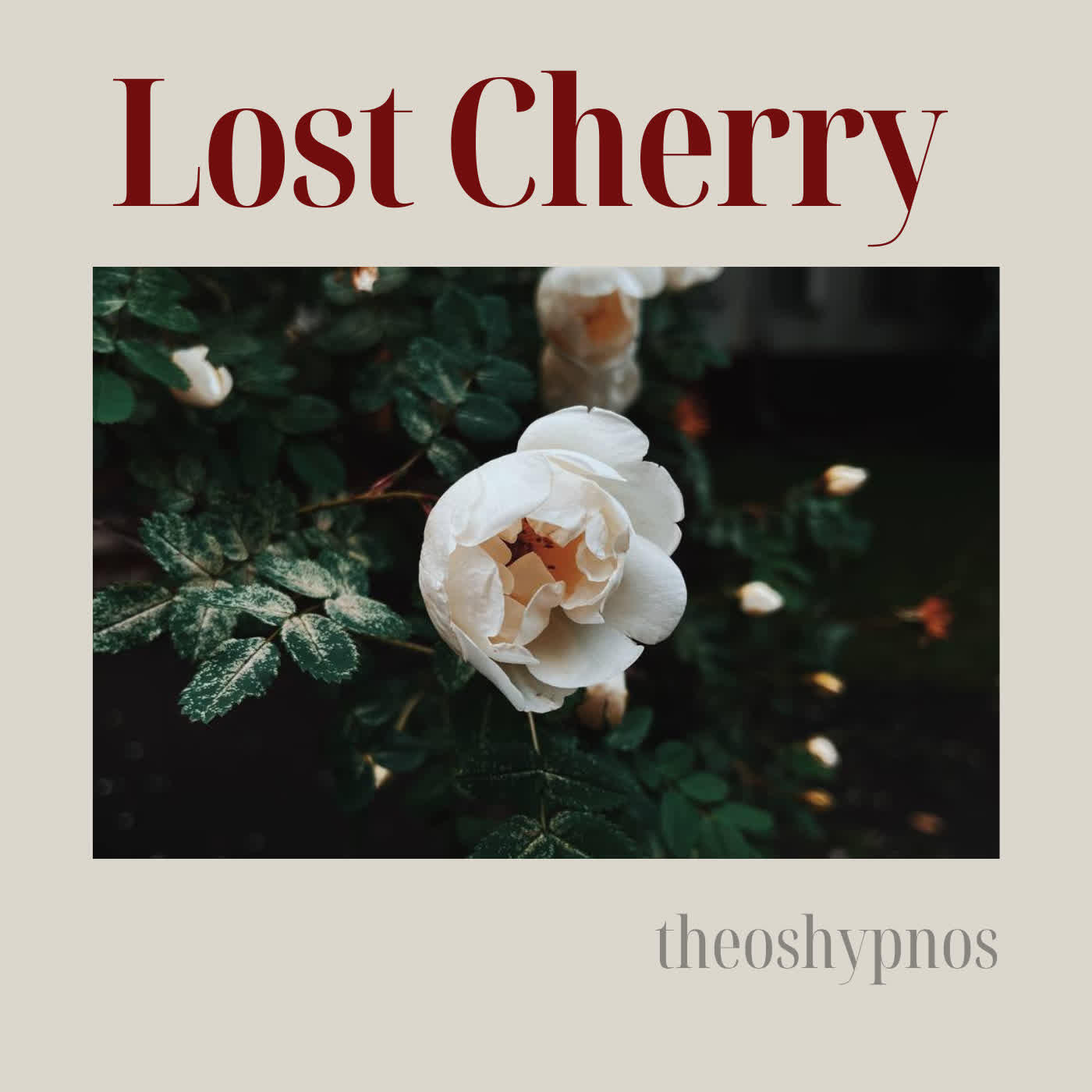 Релиз Lost Cherry