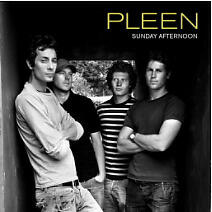 Pleen