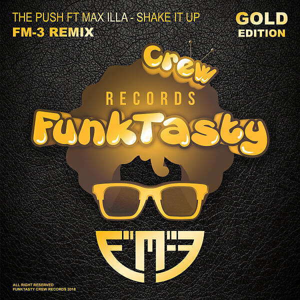 Скачать песню Push & FM3 - Shake It Up (FM-3 Remix) бесплатно в MP3 для Android и iOS