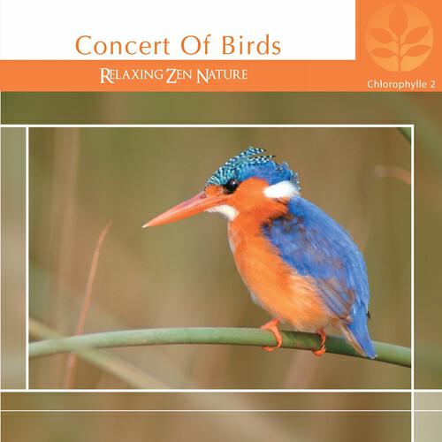 Релиз Chlorophylle II Concert of Birds