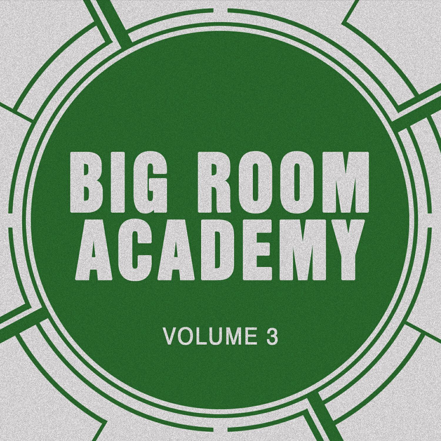 Релиз Big Room Academy, Vol. 3